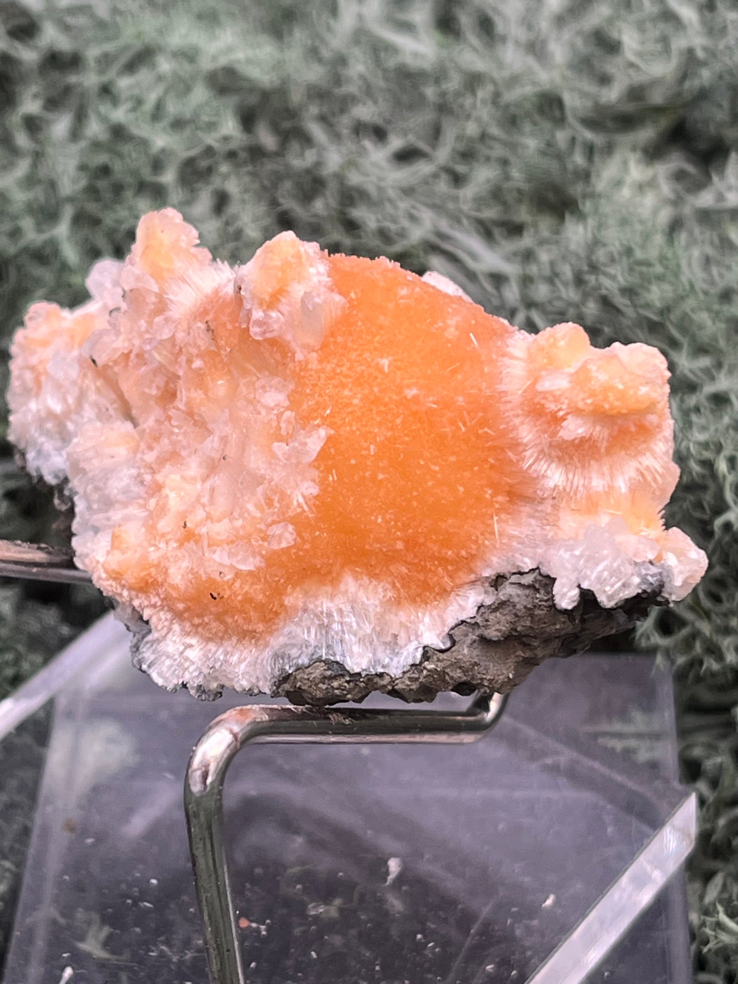 Thomsonit aus Indien (41g) - Stufe - leuchtend orange Farbe, schöne Kugelbildungen - crystal paradise