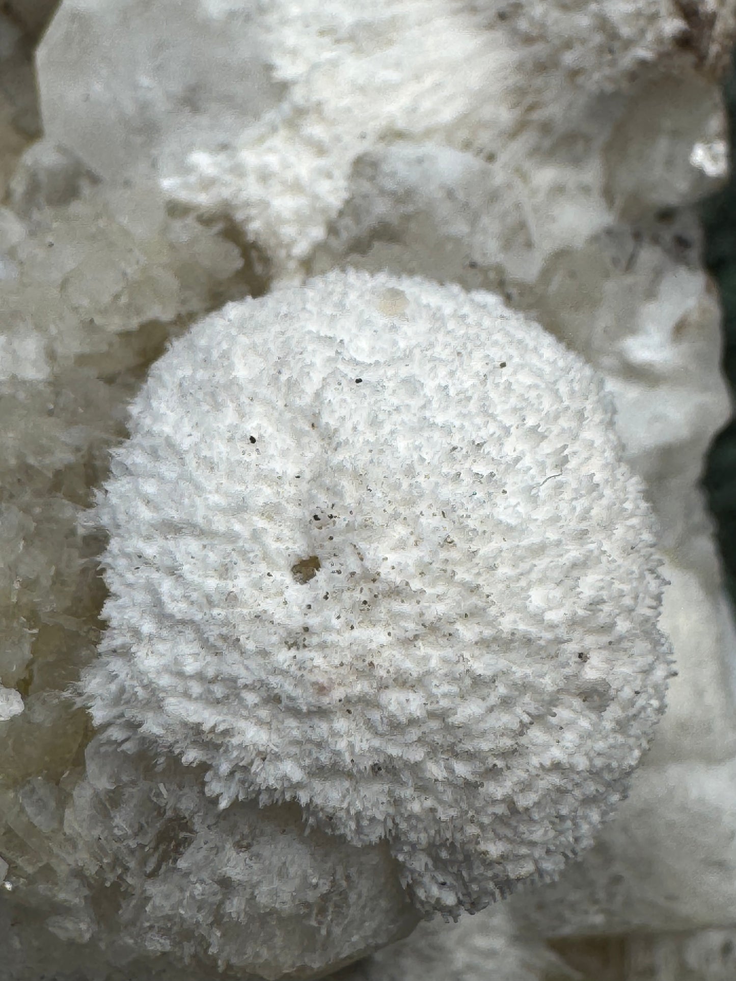Okenit auf Apophyllit Cluster (Handstufe) aus Indien (222g) - viele Kristalle - crystal paradise