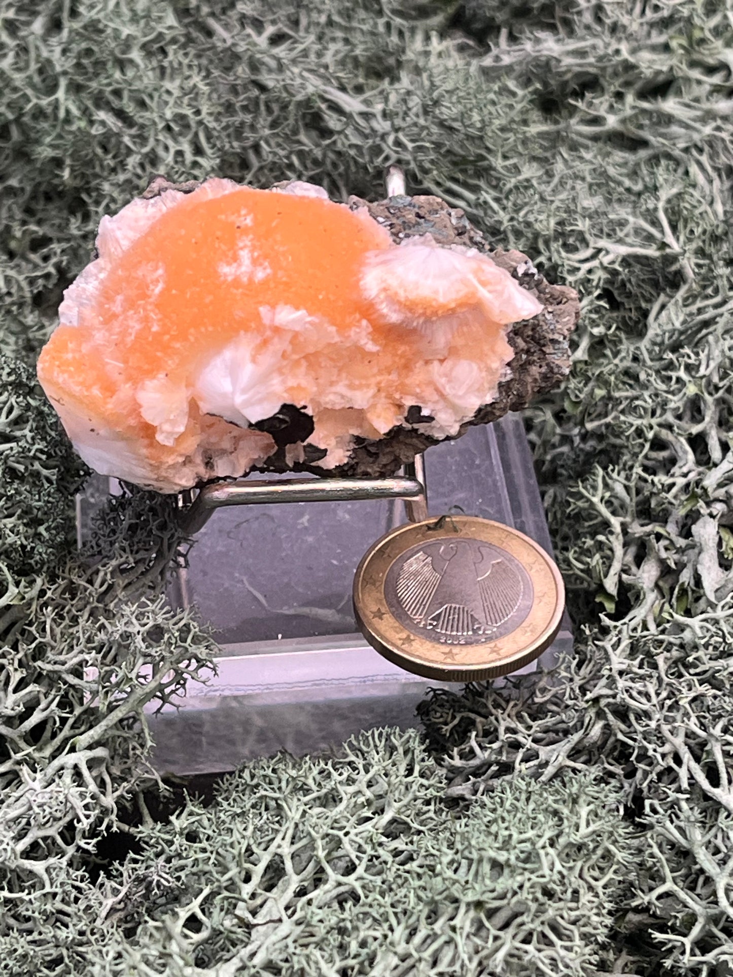 Thomsonit aus Indien (55g) - Stufe - leuchtend orange Farbe, schöne Kugelbildung - crystal paradise