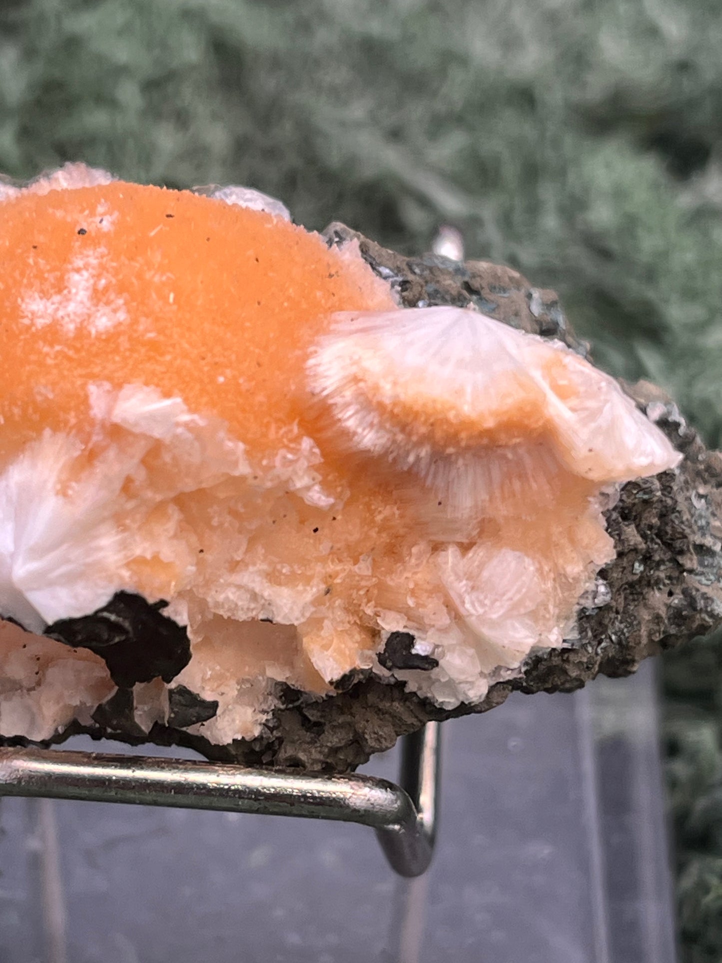 Thomsonit aus Indien (55g) - Stufe - leuchtend orange Farbe, schöne Kugelbildung - crystal paradise