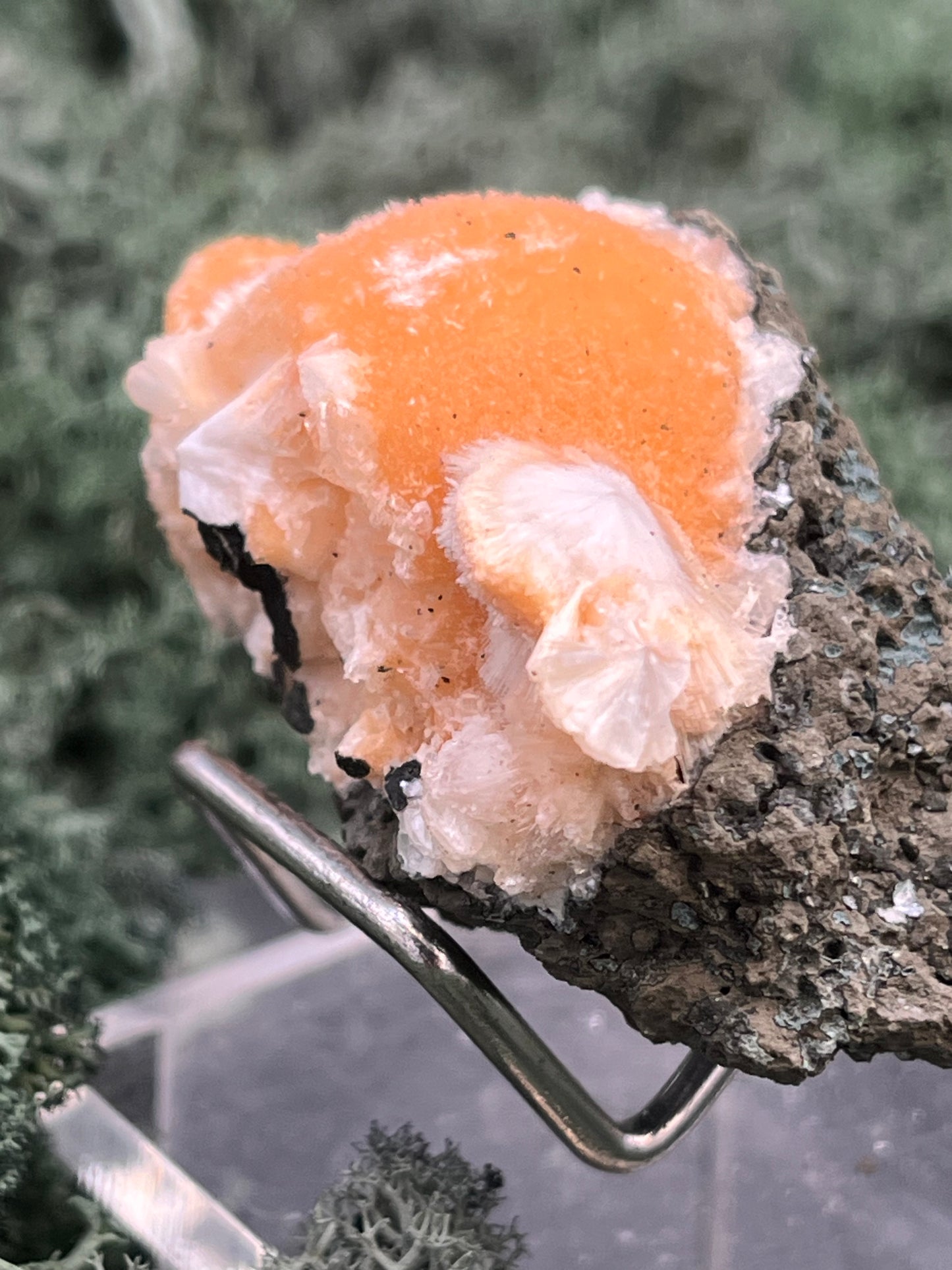 Thomsonit aus Indien (55g) - Stufe - leuchtend orange Farbe, schöne Kugelbildung - crystal paradise