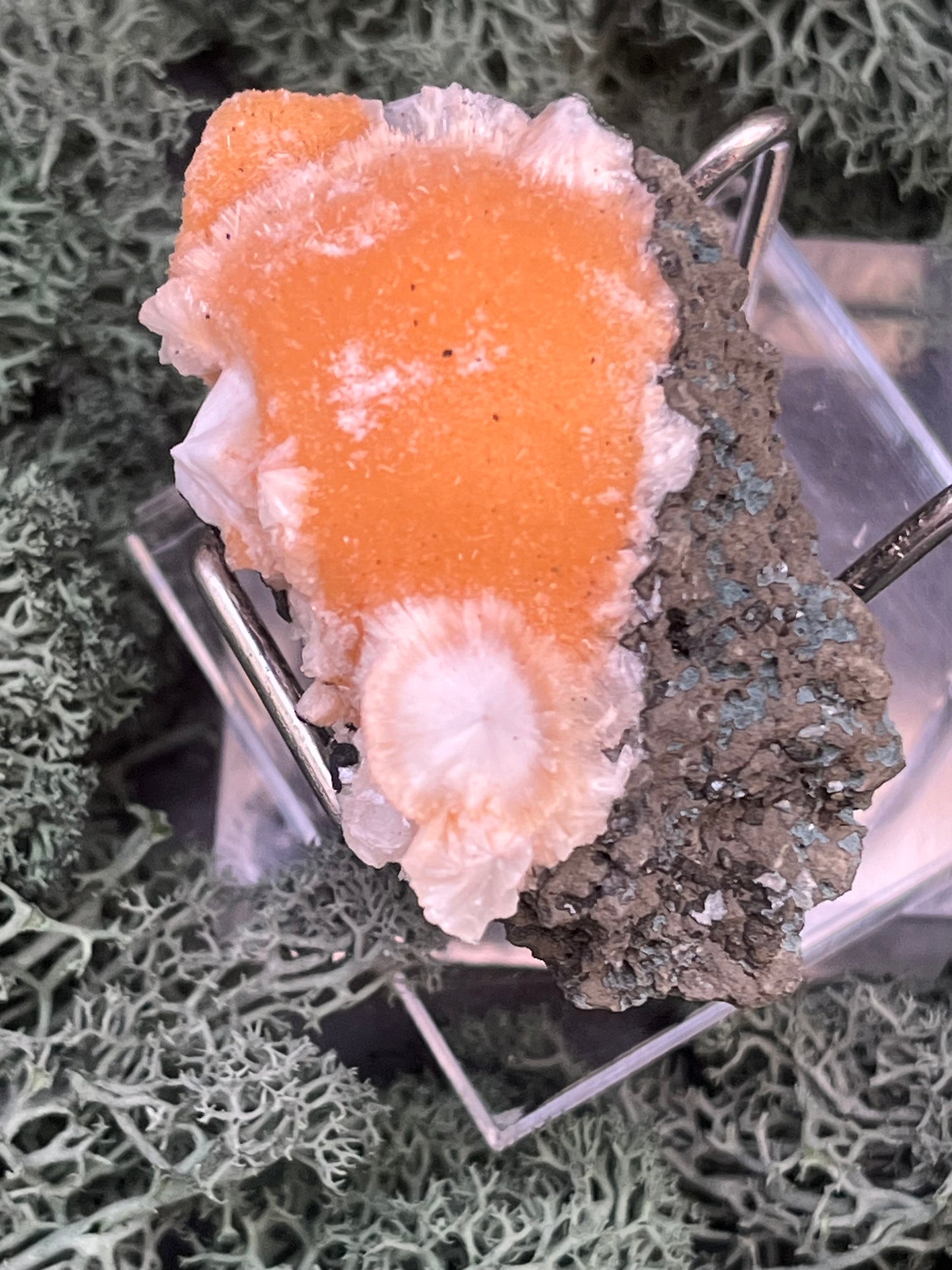 Thomsonit aus Indien (55g) - Stufe - leuchtend orange Farbe, schöne Kugelbildung - crystal paradise