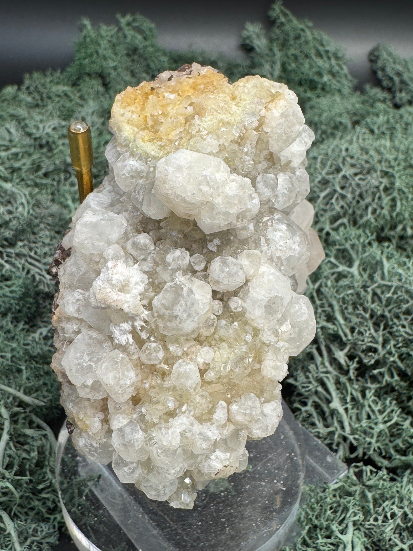 Okenit auf Apophyllit Cluster (Stufe) aus Indien (156g) - viele Apophyllit Kristalle, - crystal paradise