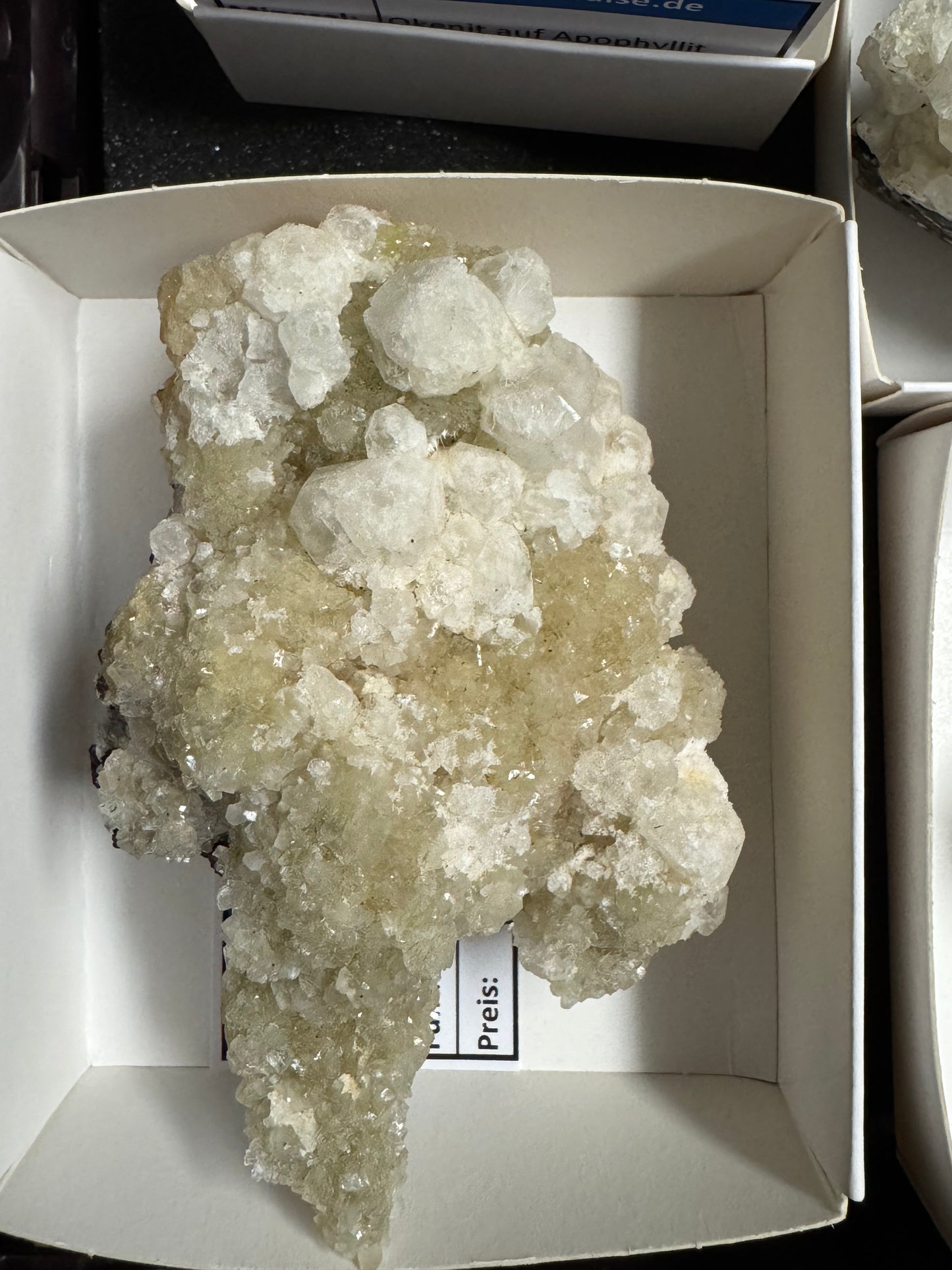 Okenit auf Apophyllit Cluster (Stufen) aus Indien- verschiedene Größen - 1 Stück - crystal paradise
