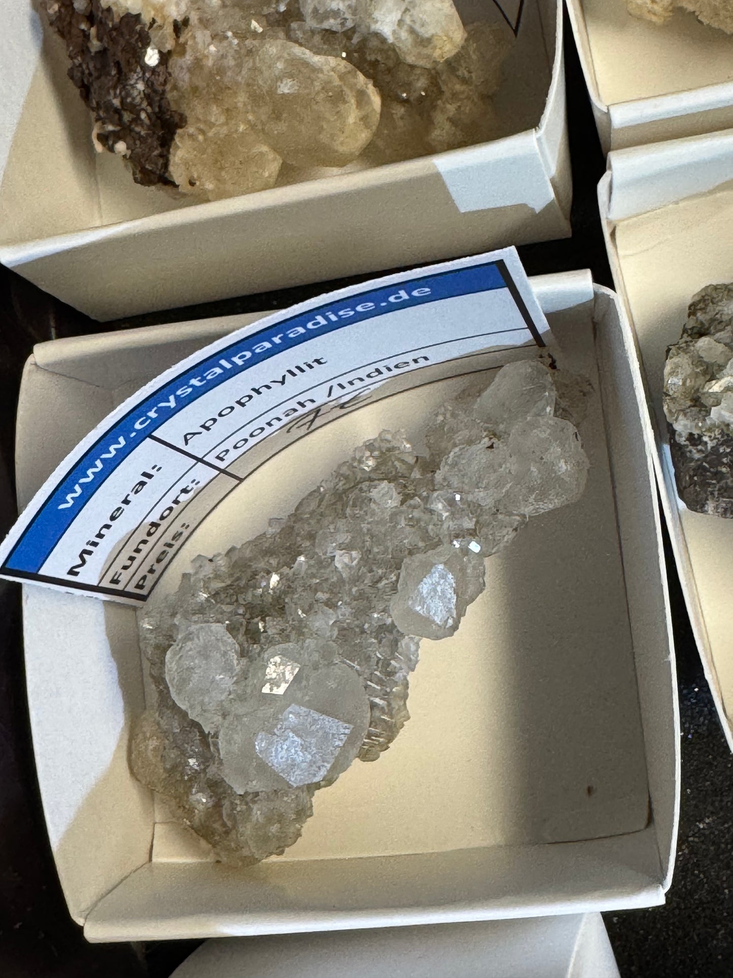 Okenit auf Apophyllit Cluster (Stufen) aus Indien- verschiedene Größen - 1 Stück - crystal paradise