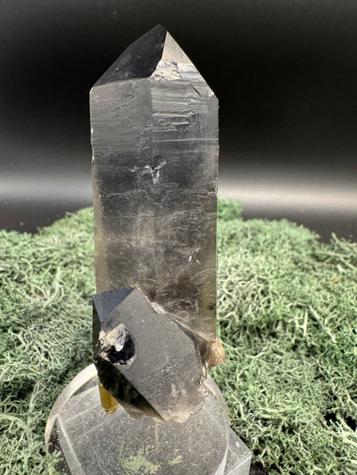 Rauchquarz Stufe aus Brasilien (167g) - schönes Cluster - crystal paradise