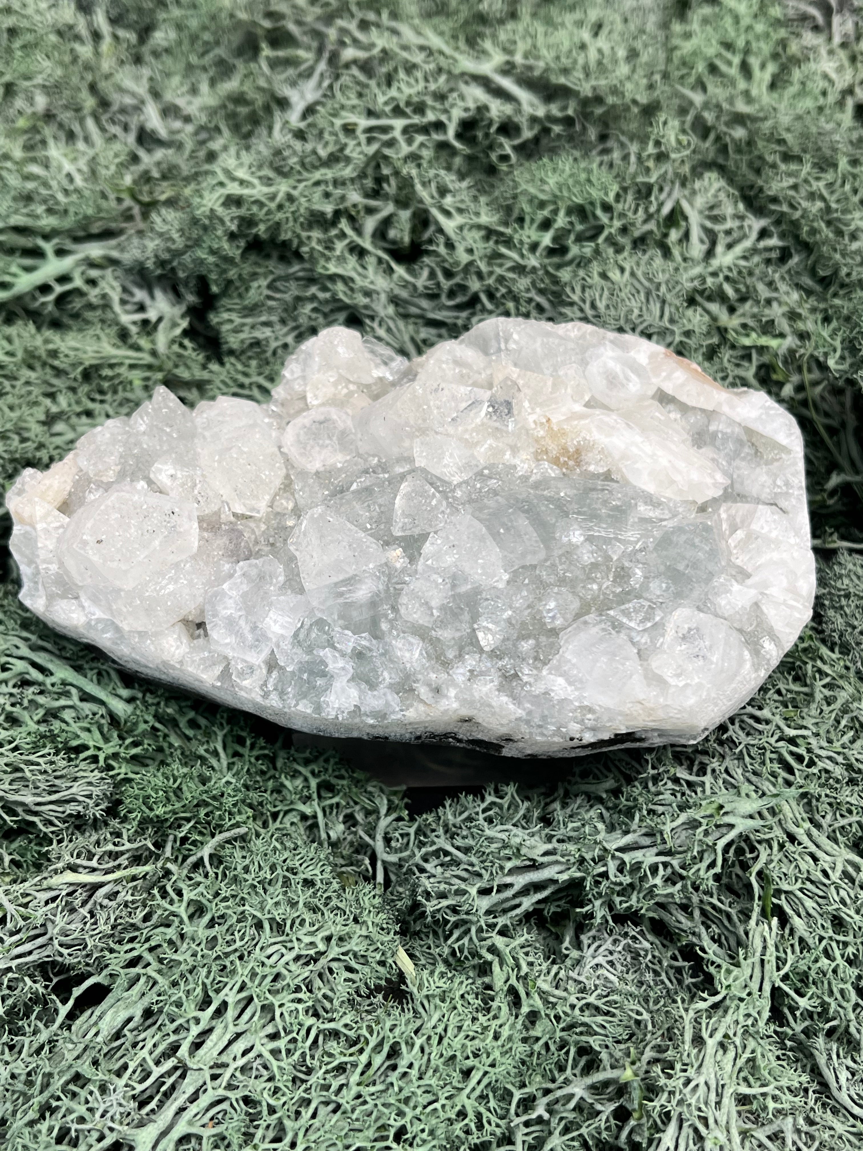 Apophyllit Handstufe aus Indien (367g) - schöne grosse Kristalle - crystal paradise