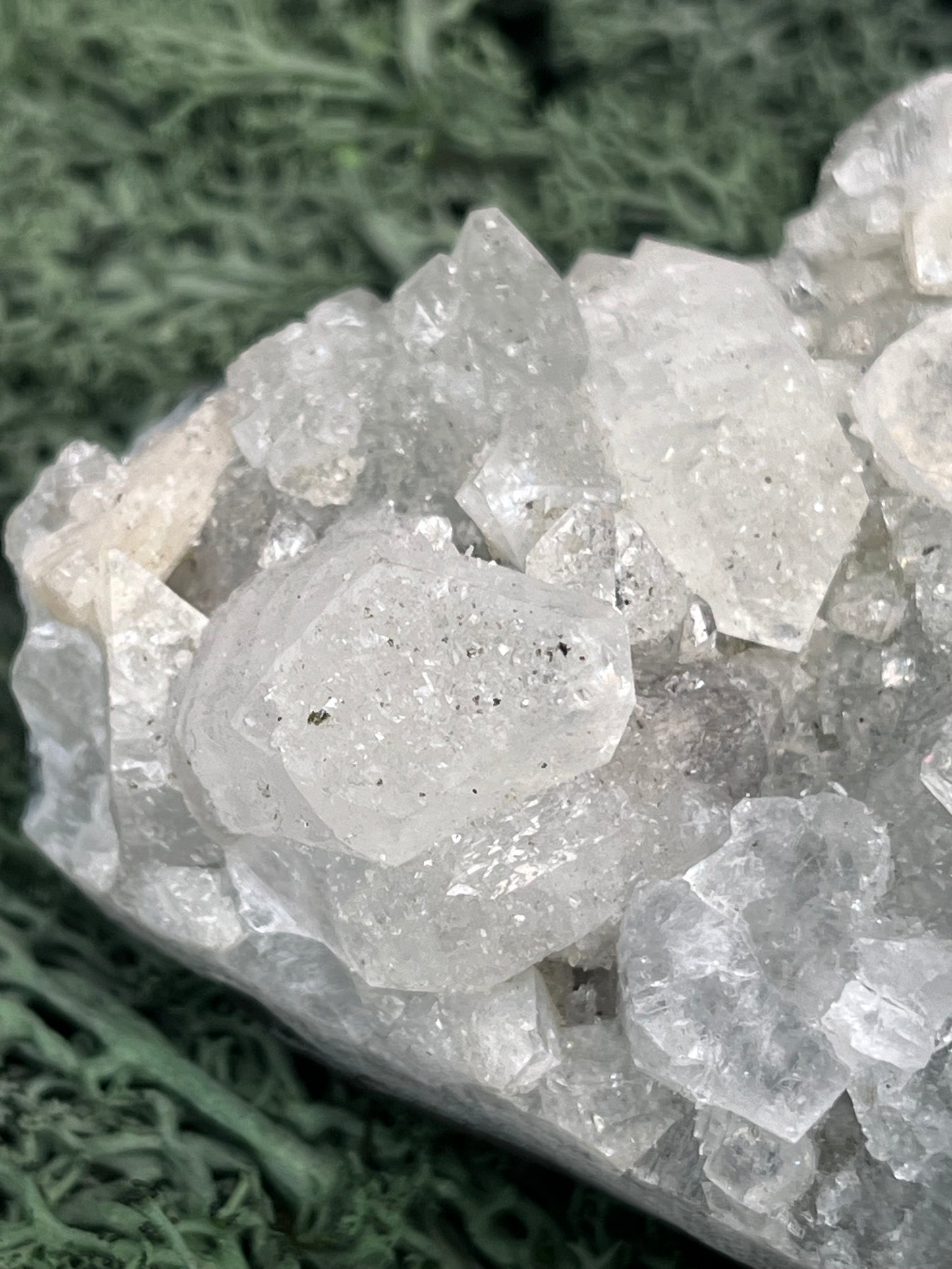 Apophyllit Handstufe aus Indien (367g) - schöne grosse Kristalle - crystal paradise