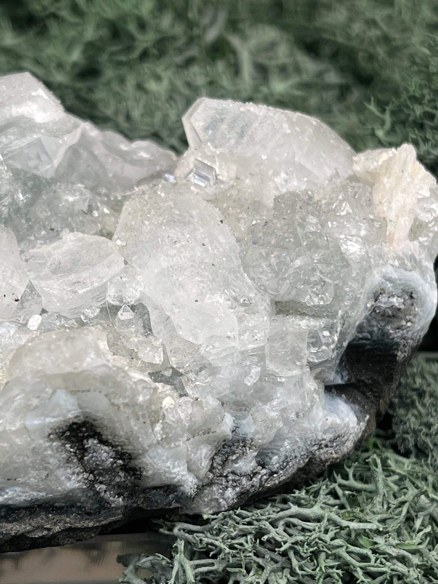 Apophyllit Handstufe aus Indien (367g) - schöne grosse Kristalle - crystal paradise
