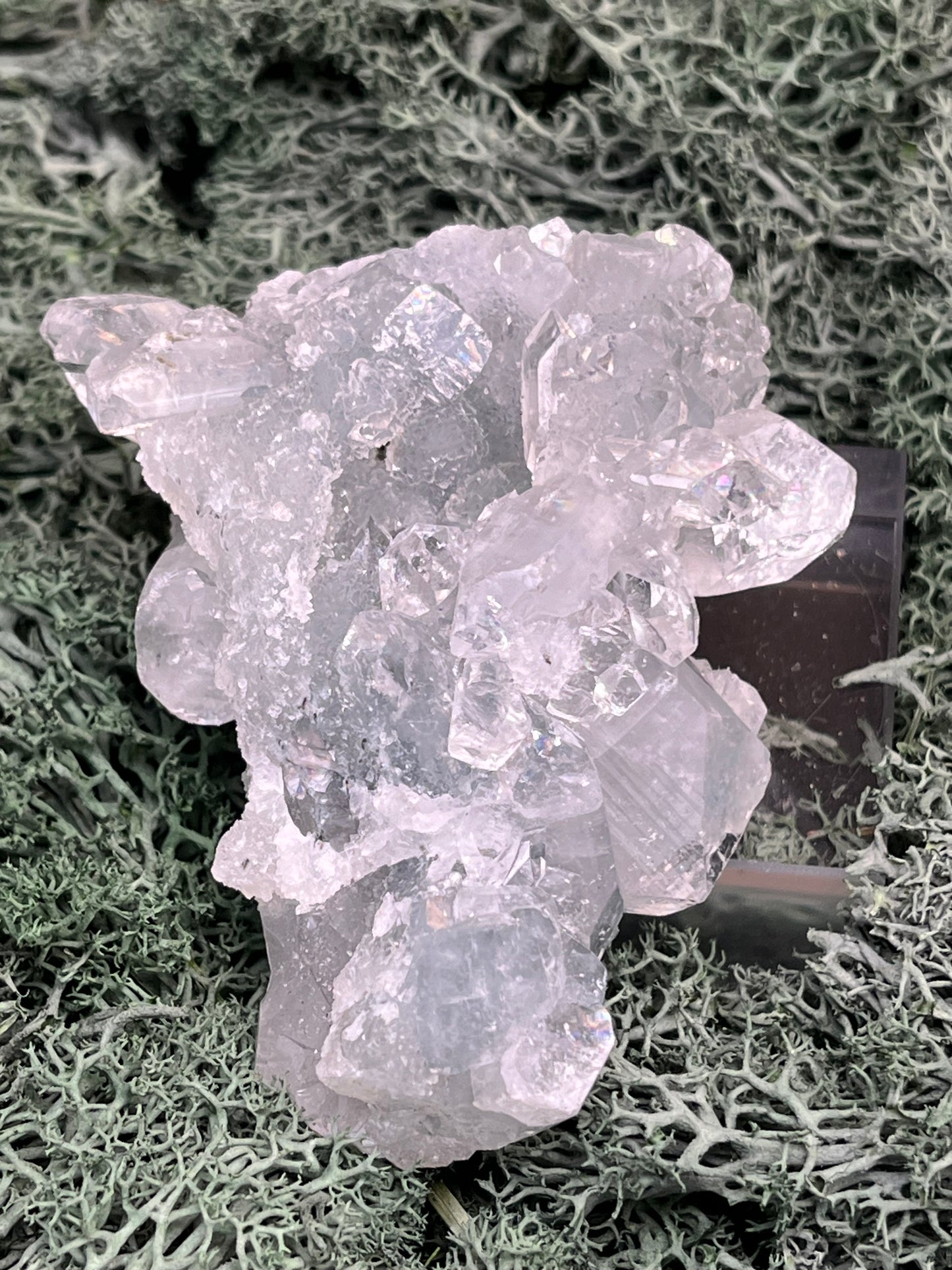 Apophyllit Handstufe aus Indien (152g) - schöne grosse Kristalle - crystal paradise