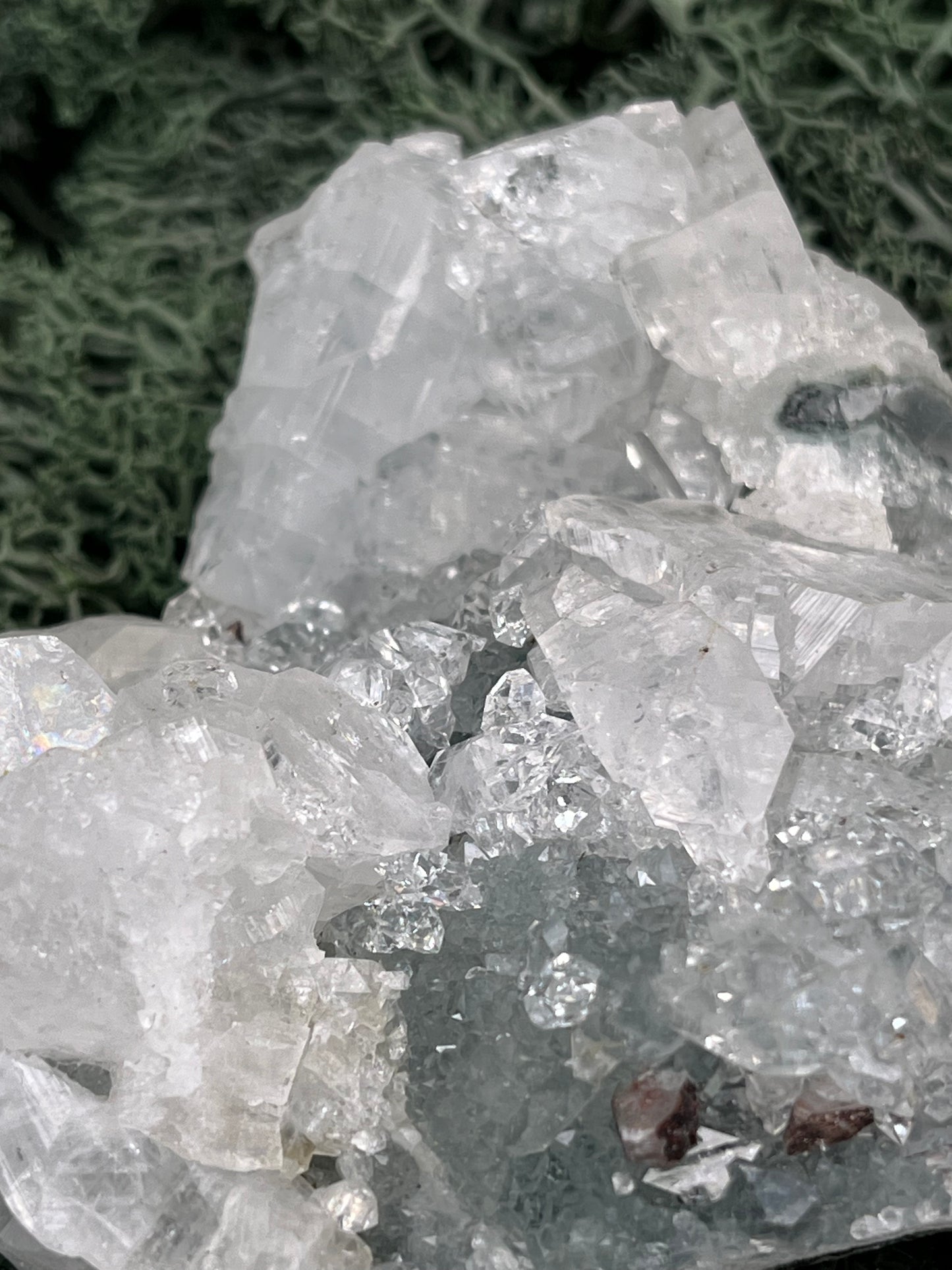 Apophyllit Handstufe aus Indien (121g) - schöne grosse Kristalle - crystal paradise