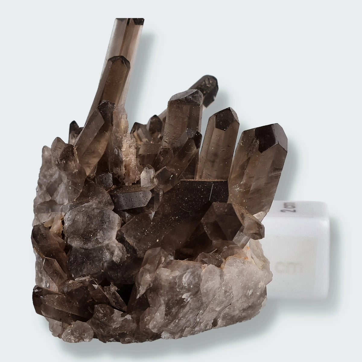 Rauchquarz Nadeln aus Brasilien (177g)