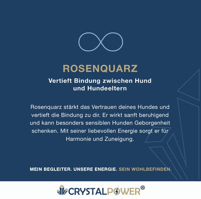 Rosenquarz–vertieft Bindung zwischen Hund und Hundeeltern