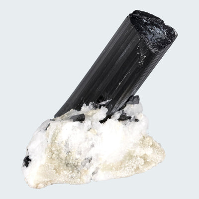 Schwarzer Schörl Turmalin an Himalaya Bergkristall (9,1g)