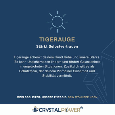 Tigerauge–stärkt Selbstvertrauen