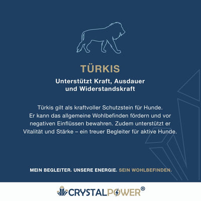 Türkis–unterstützt Kraft, Ausdauer und Widerstandskraft-