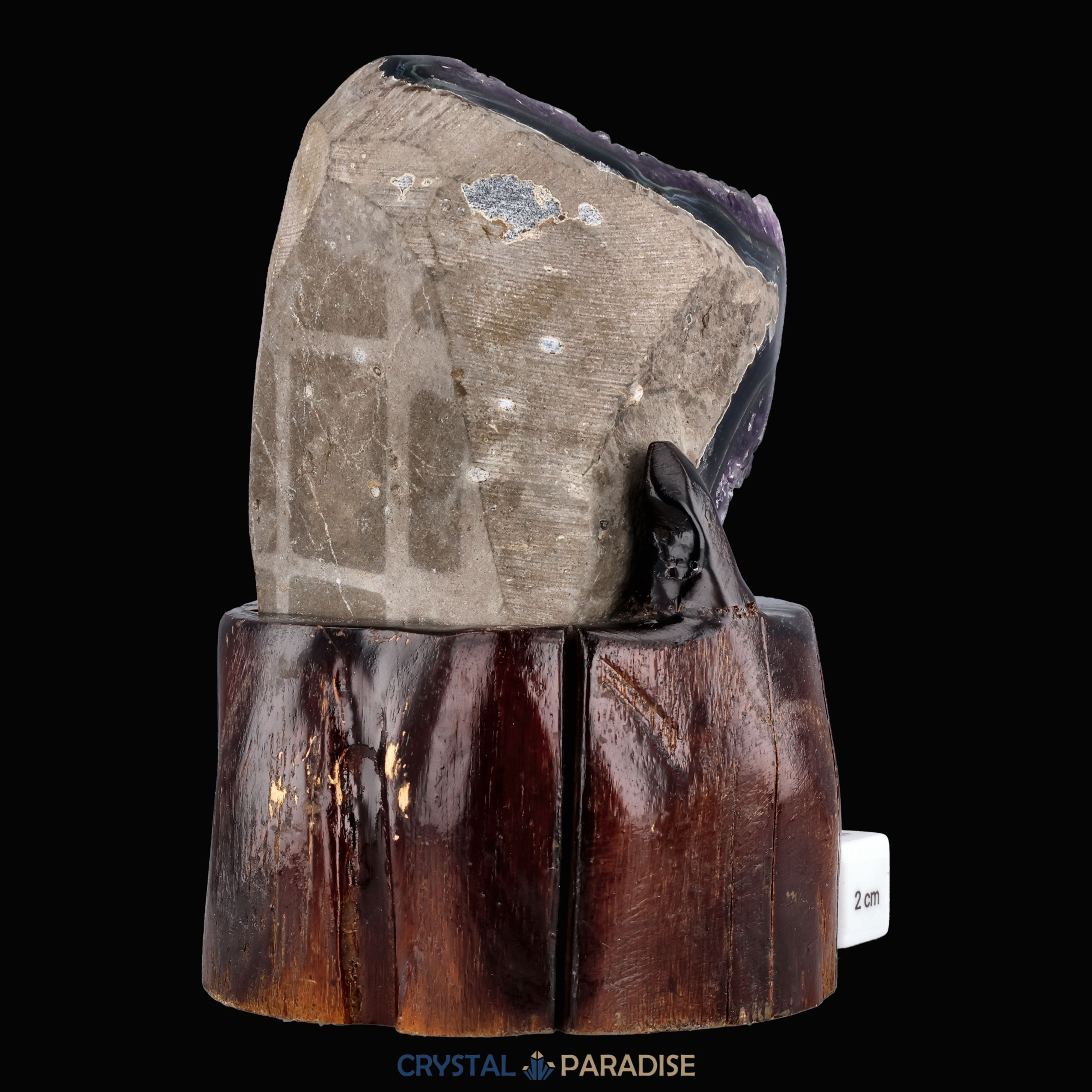 Amethyst Druse auf Holzständer (1046g) – Ansicht 9
