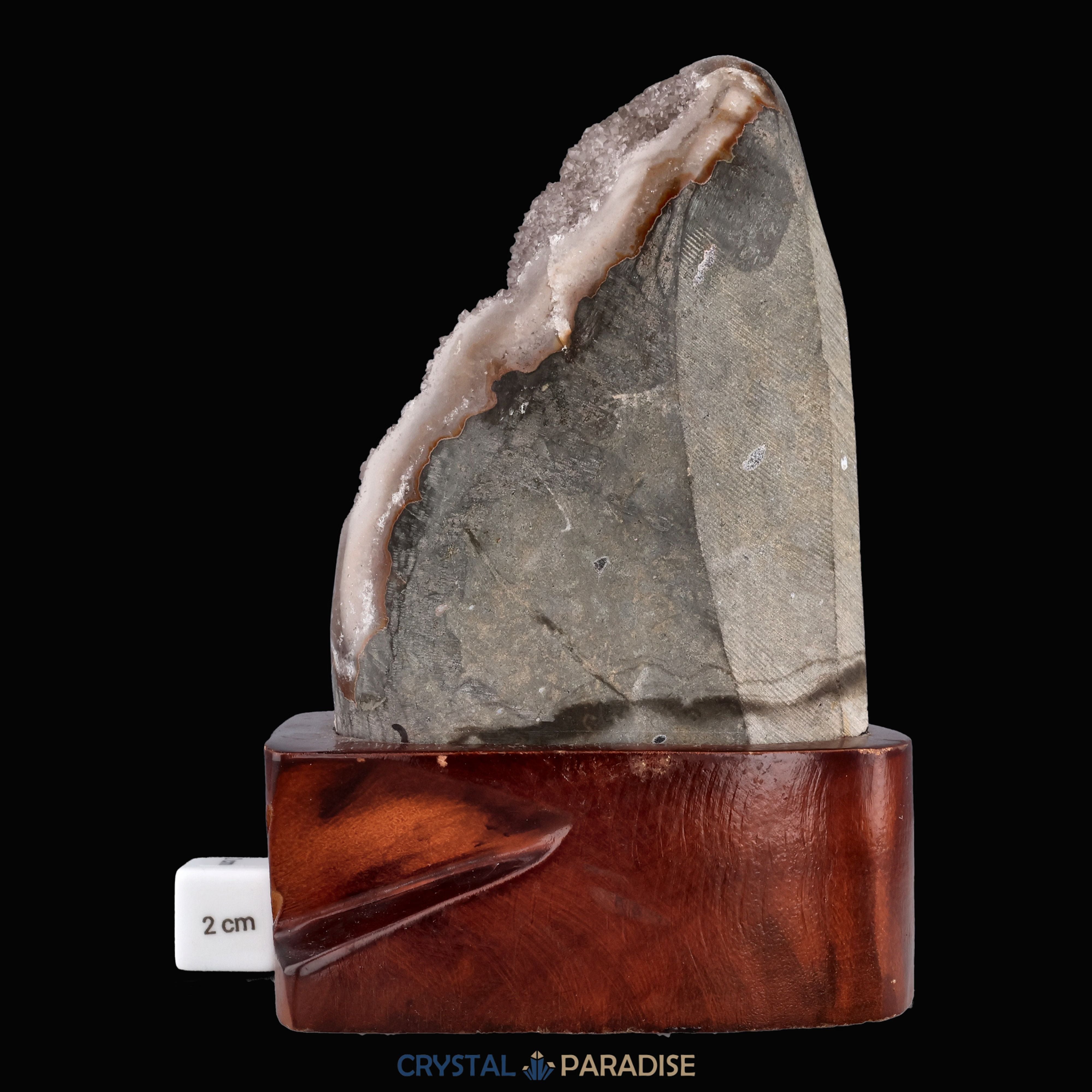 Amethyst Druse auf Holzständer (1140g) – Ansicht 7