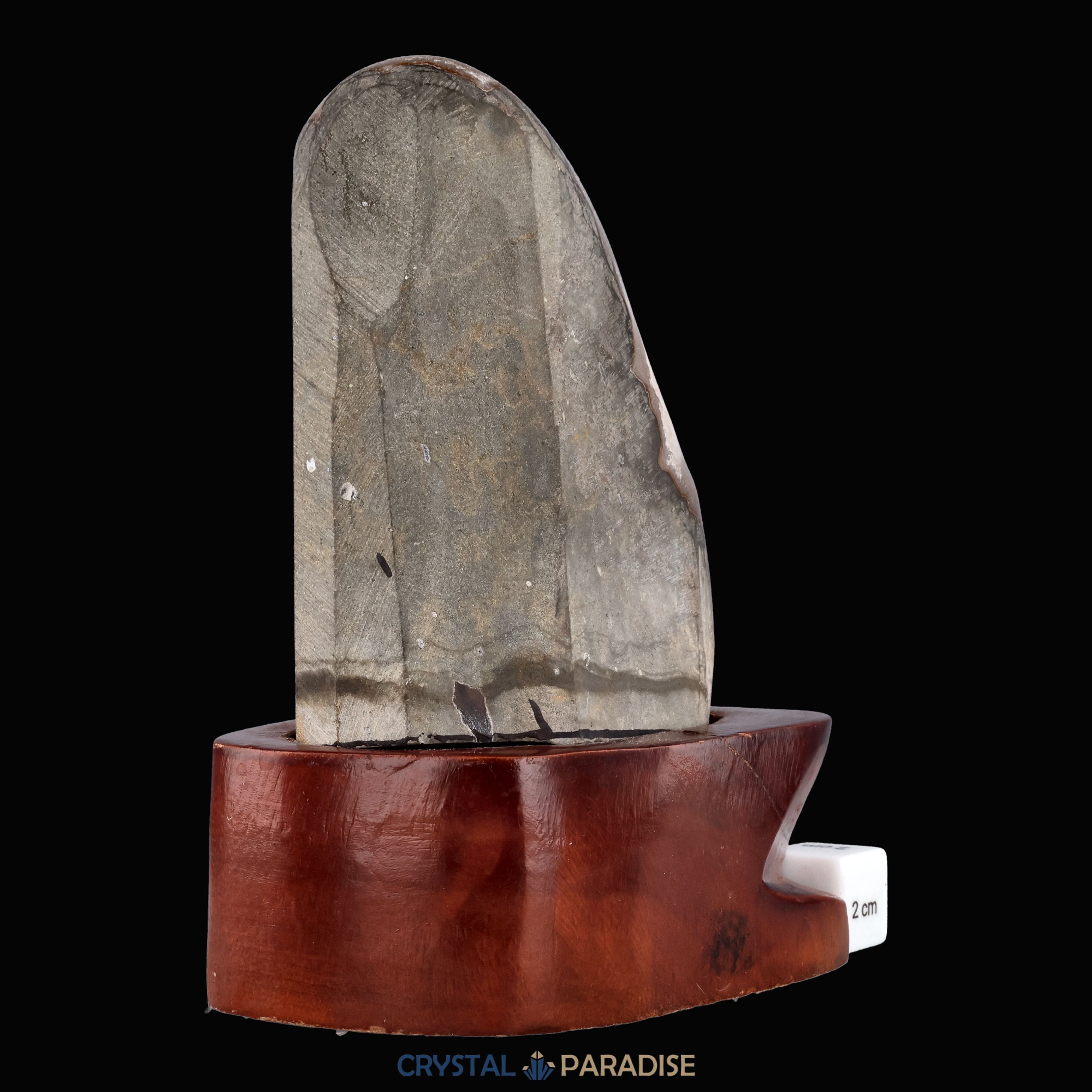 Amethyst Druse auf Holzständer (1140g) – Ansicht 9