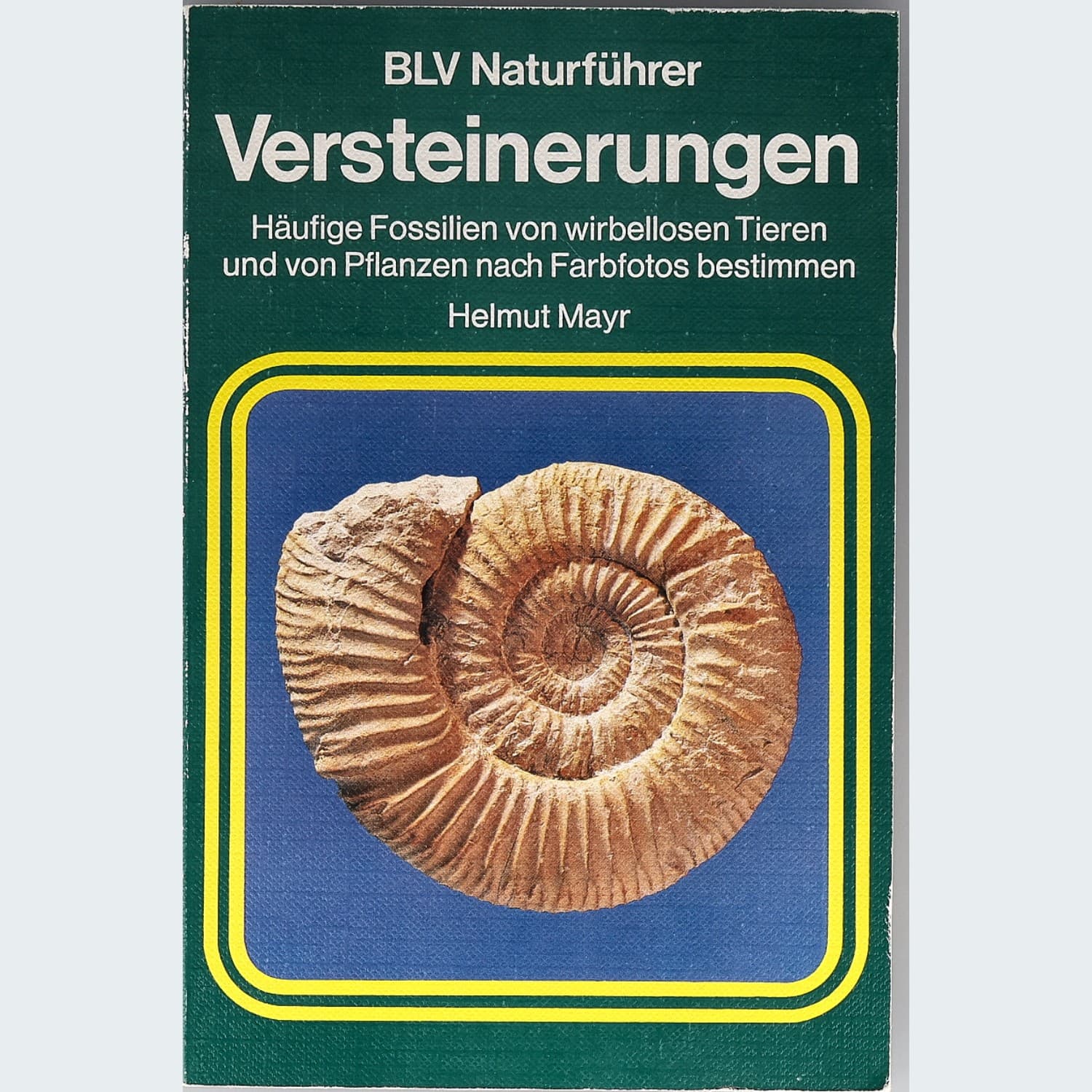 BLV Naturführer Versteinerungen von Helmut Mayr – Vorderseite mit Ammonit auf blauem Grund