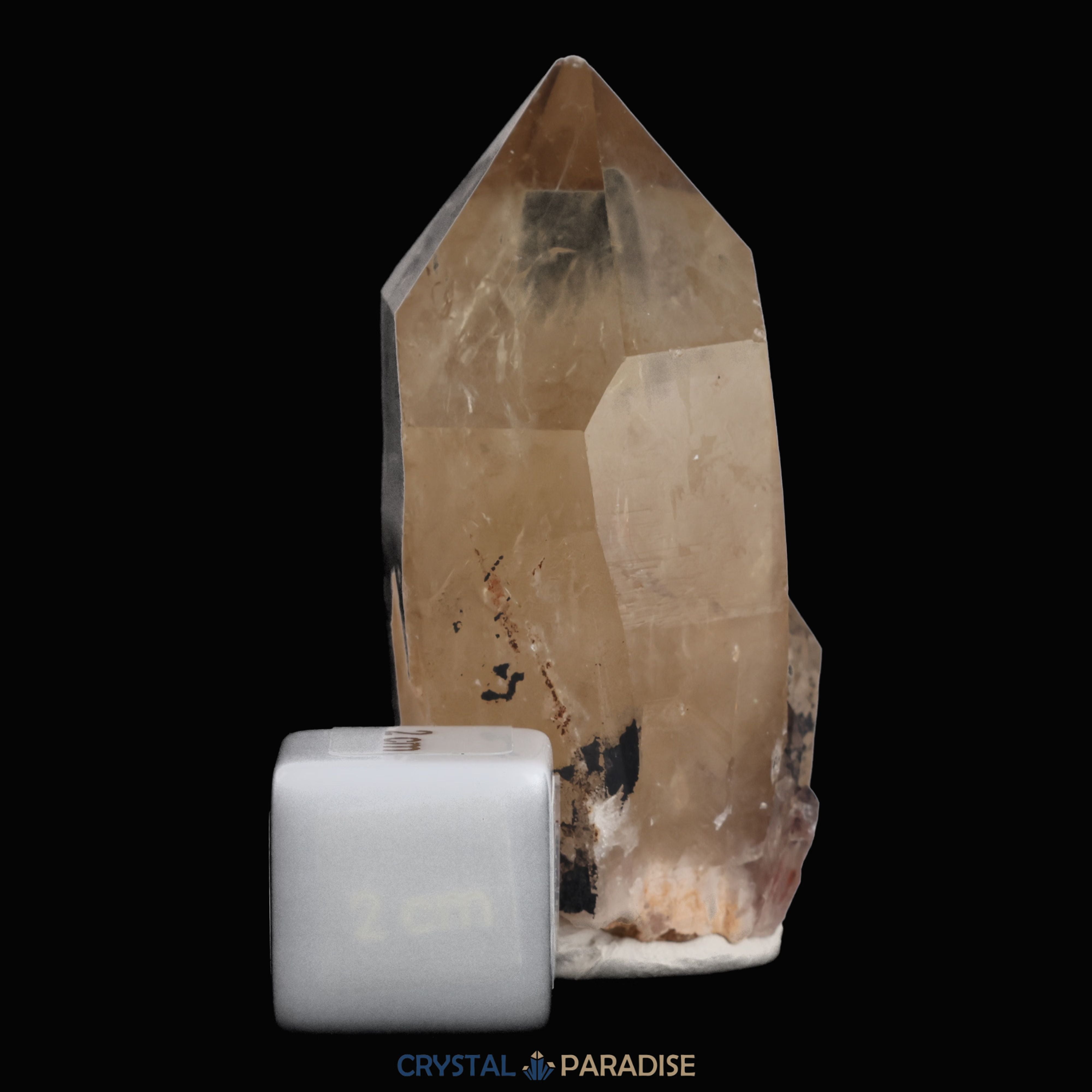 Citrin Spitze aus Kundalini, Kongo (105g) - unbehandelt – Ansicht 7
