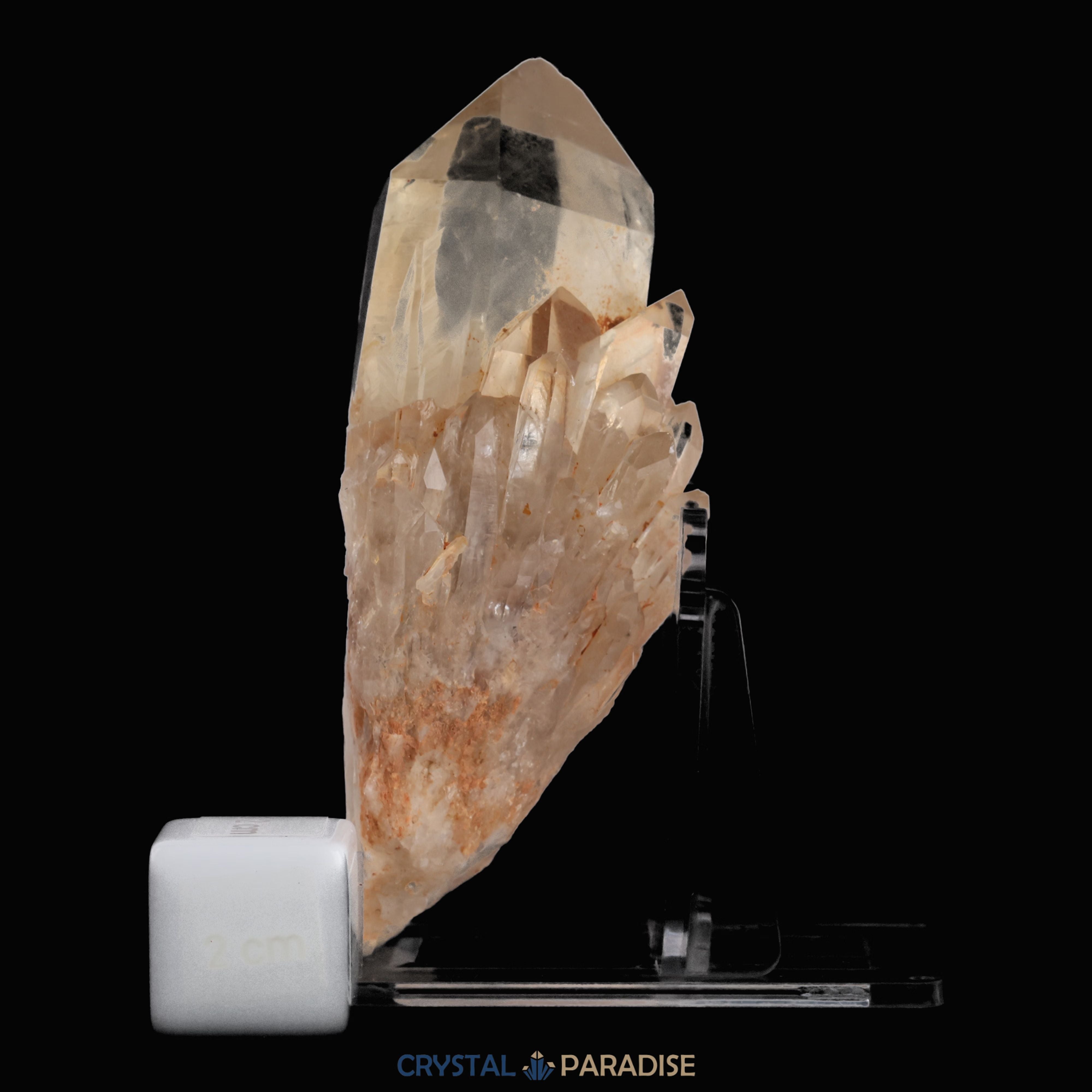 Citrin Stufe aus Kundalini, Kongo (169g) - unbehandelt – Ansicht 7