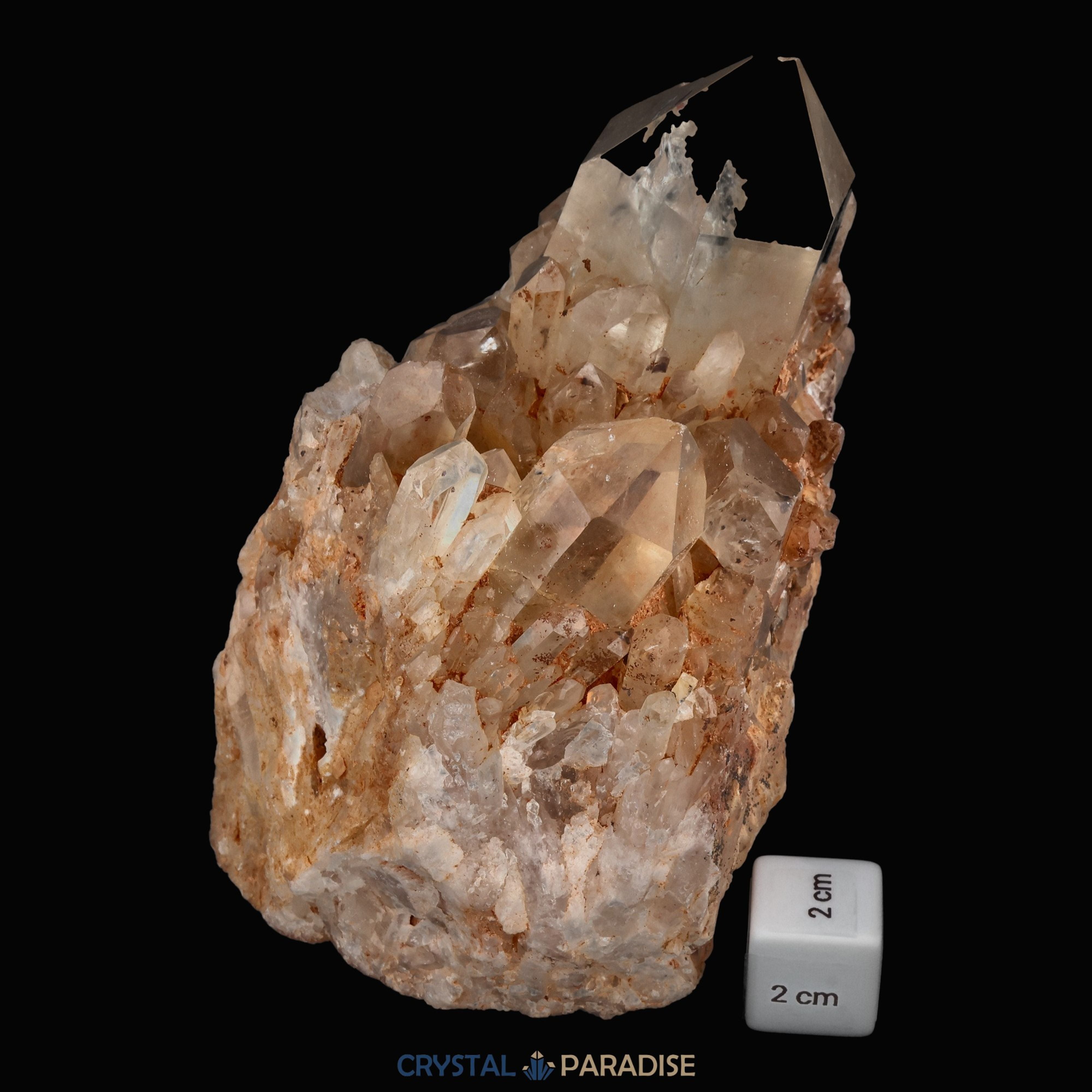 Citrin Stufe aus Kunduluni, Kongo (1615g) - unbehandelt – Ansicht 10