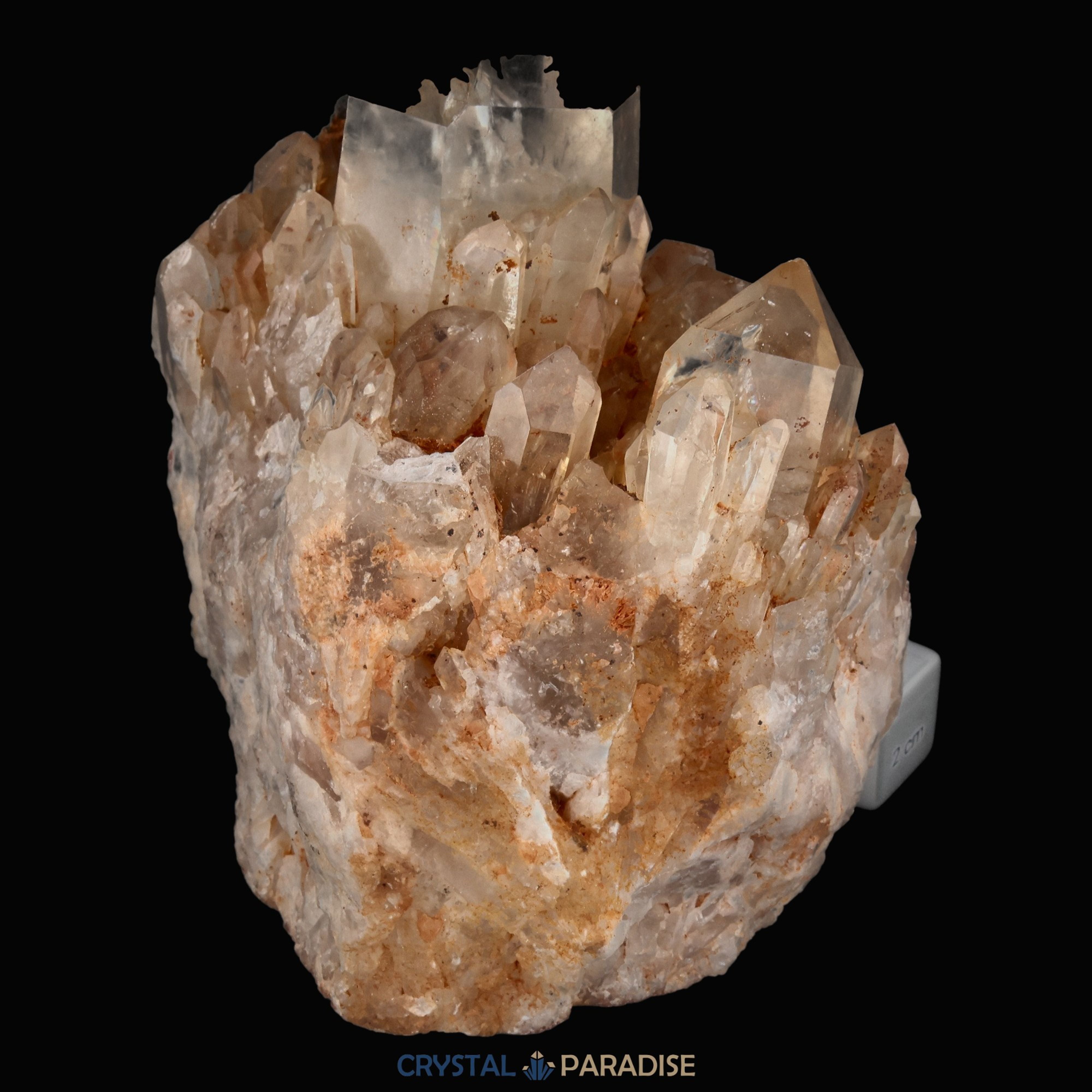 Citrin Stufe aus Kunduluni, Kongo (1615g) - unbehandelt – Ansicht 9