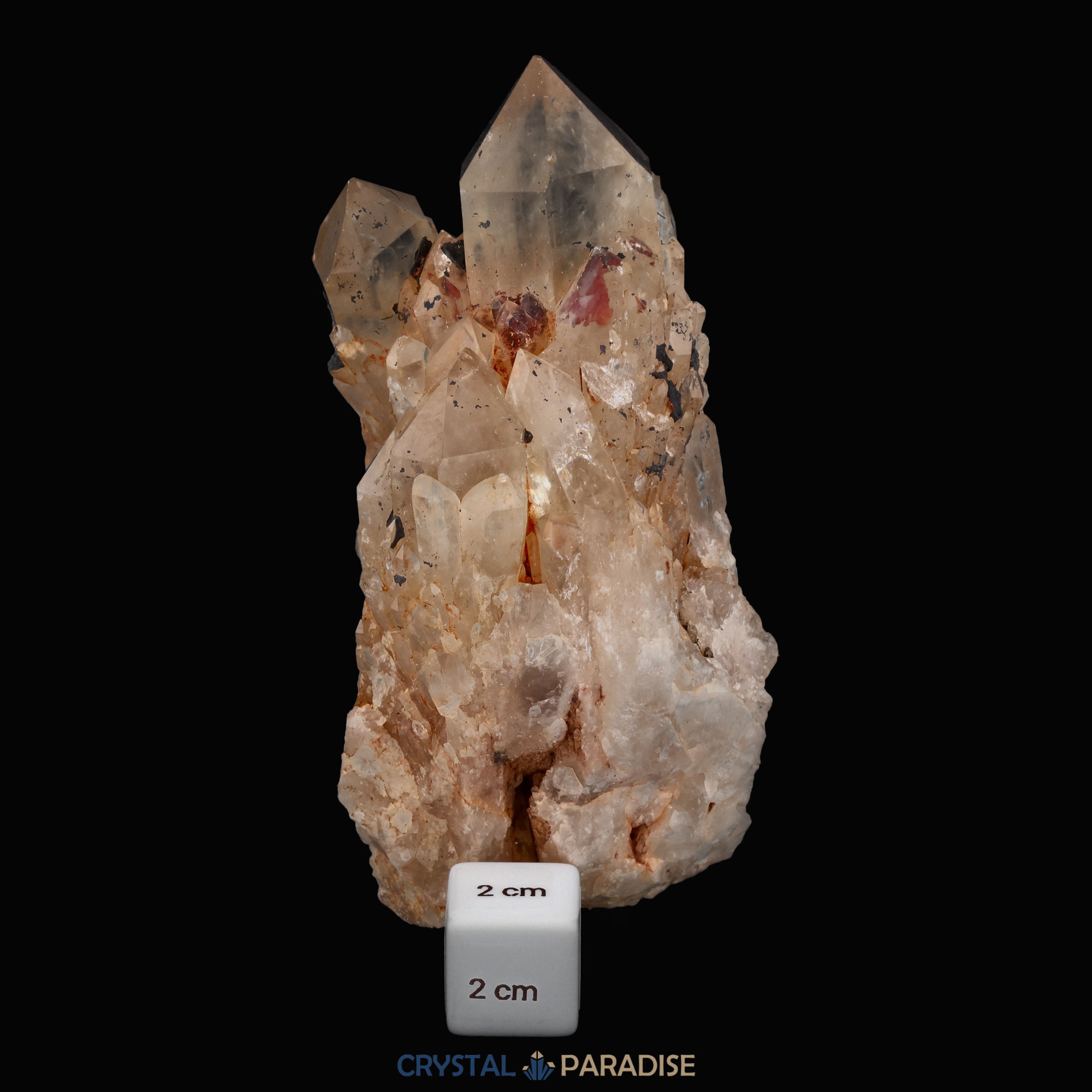 Citrin Stufe aus Kunduluni, Kongo (710g) - unbehandelt – Ansicht 5