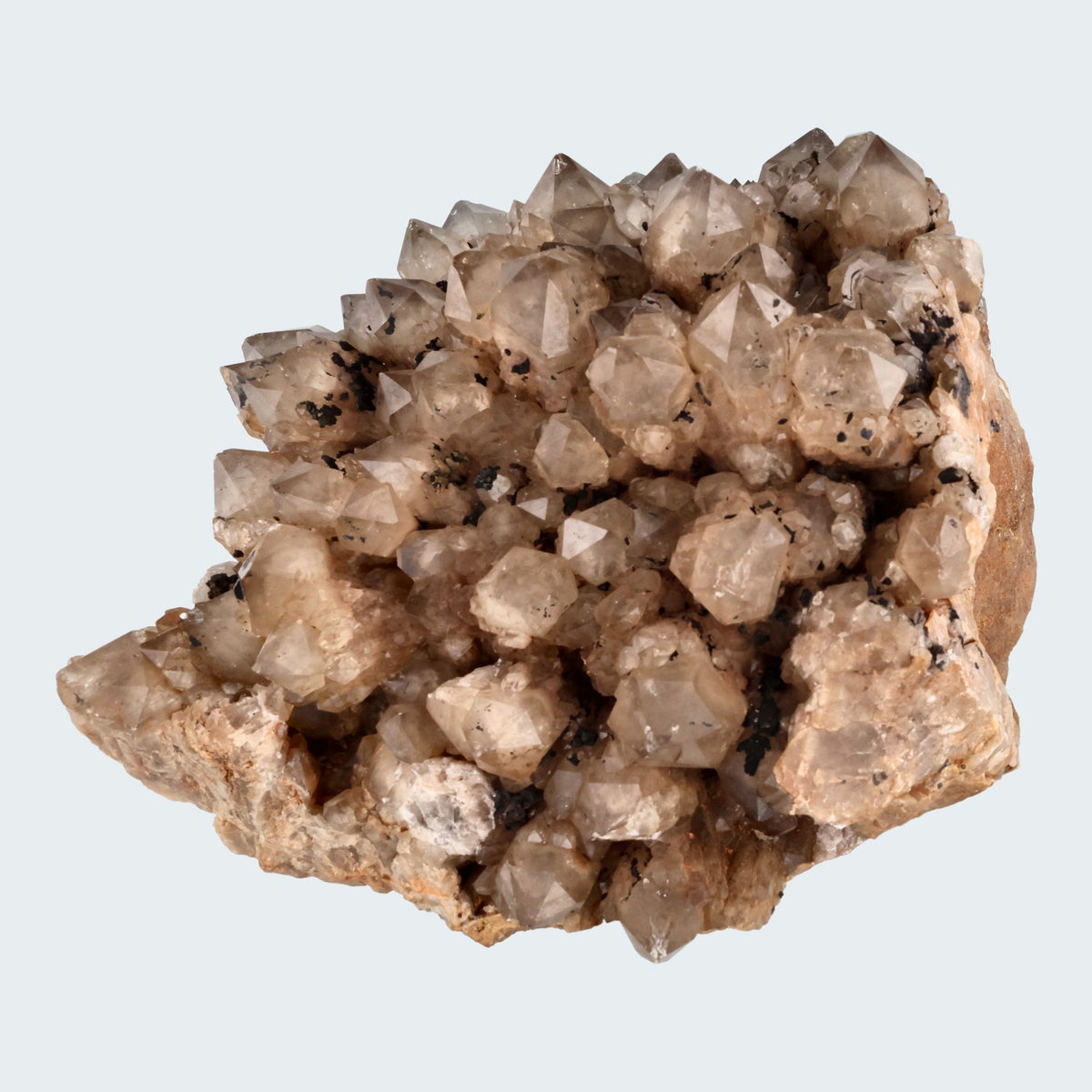 Citrin XL Stufe aus Kunduluni, Kongo (9653g) - unbehandelt – Ansicht 3