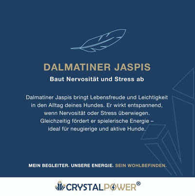 Dalmatiner Jaspis–baut Nervosität und Stress ab