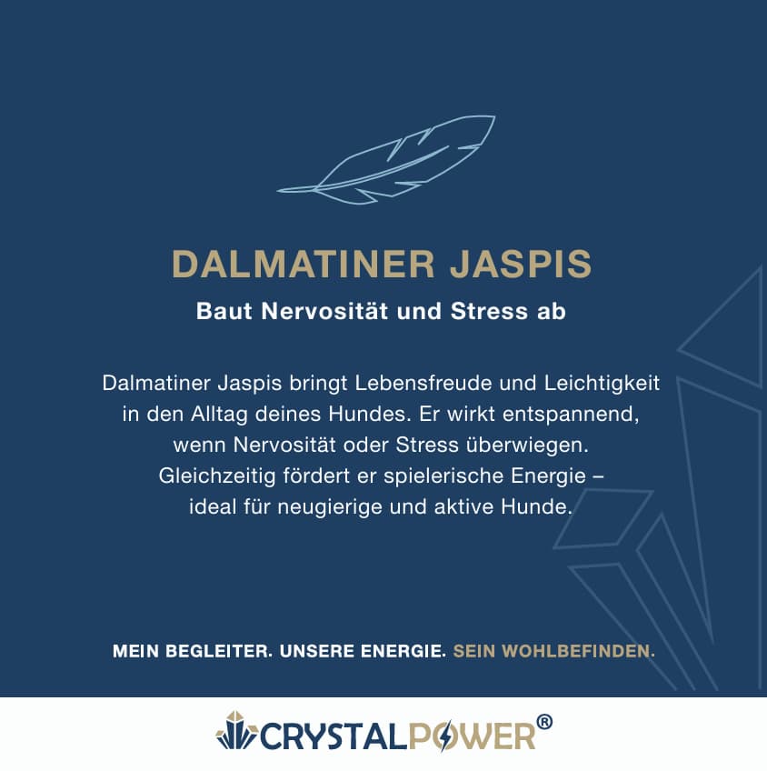 Dalmatiner Jaspis–baut Nervosität und Stress ab
