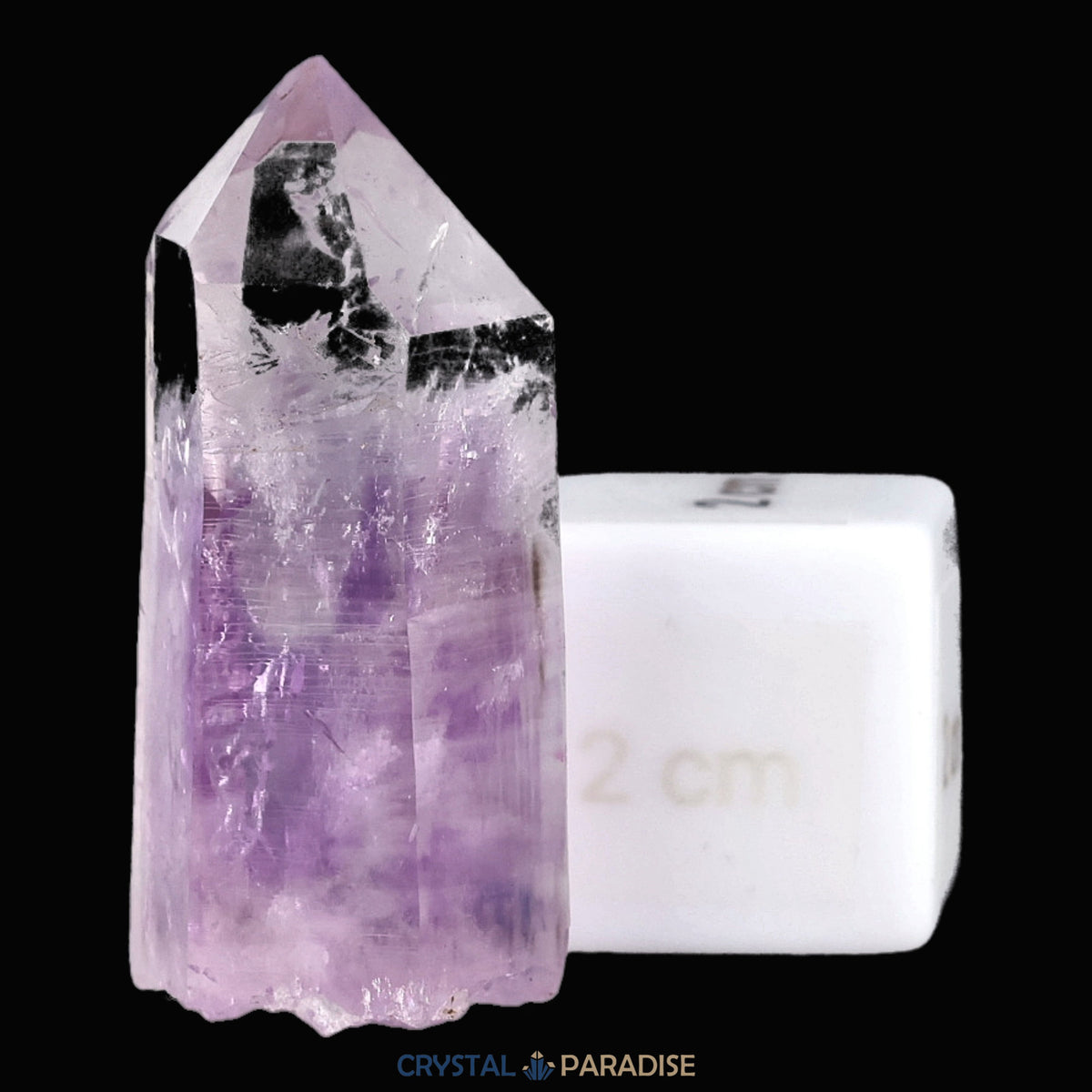 Goboboseb Amethyst mit Libelle aus Namibia (21g) – Ansicht 6