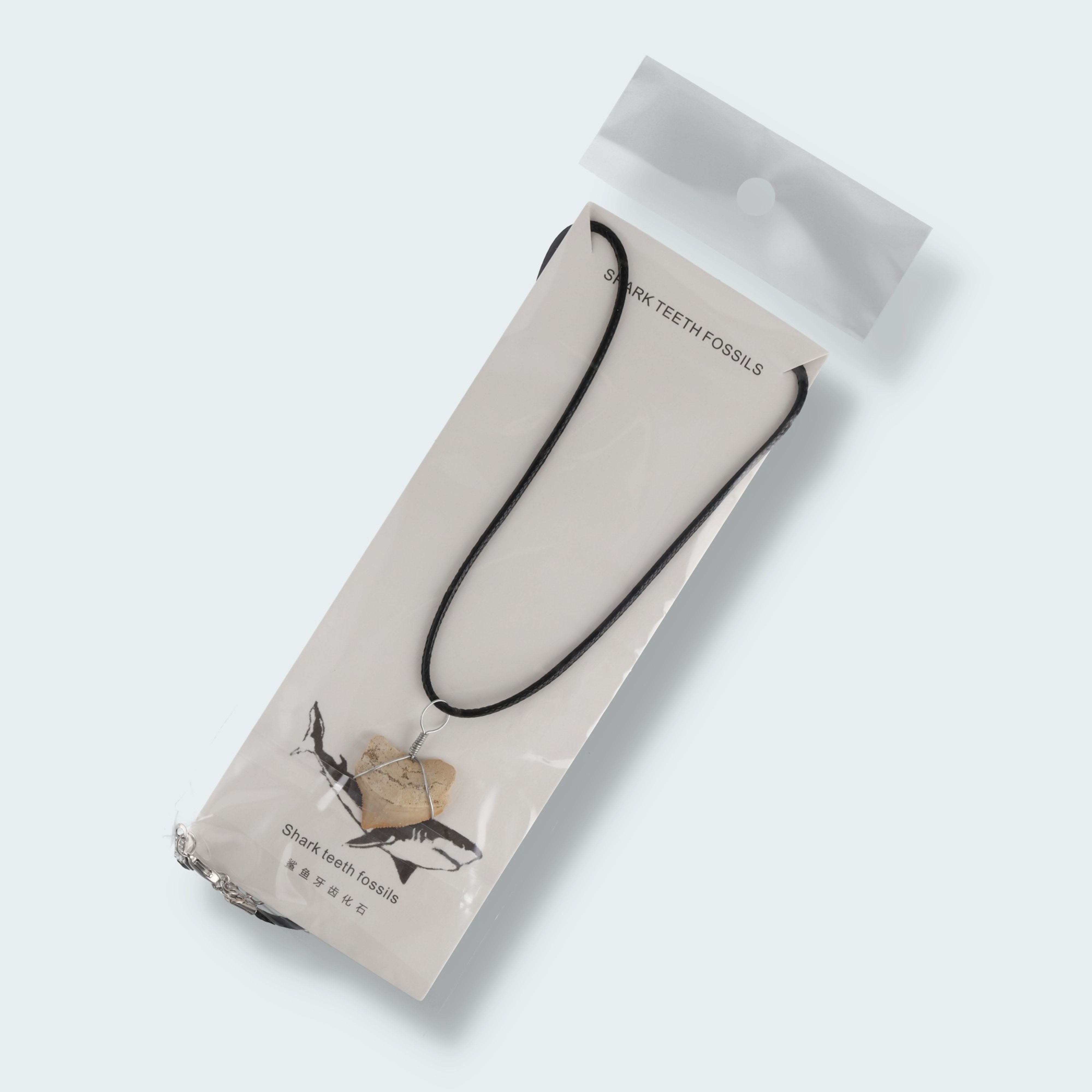 Haifischzahn Halskette (Fossil) – Ansicht 3
