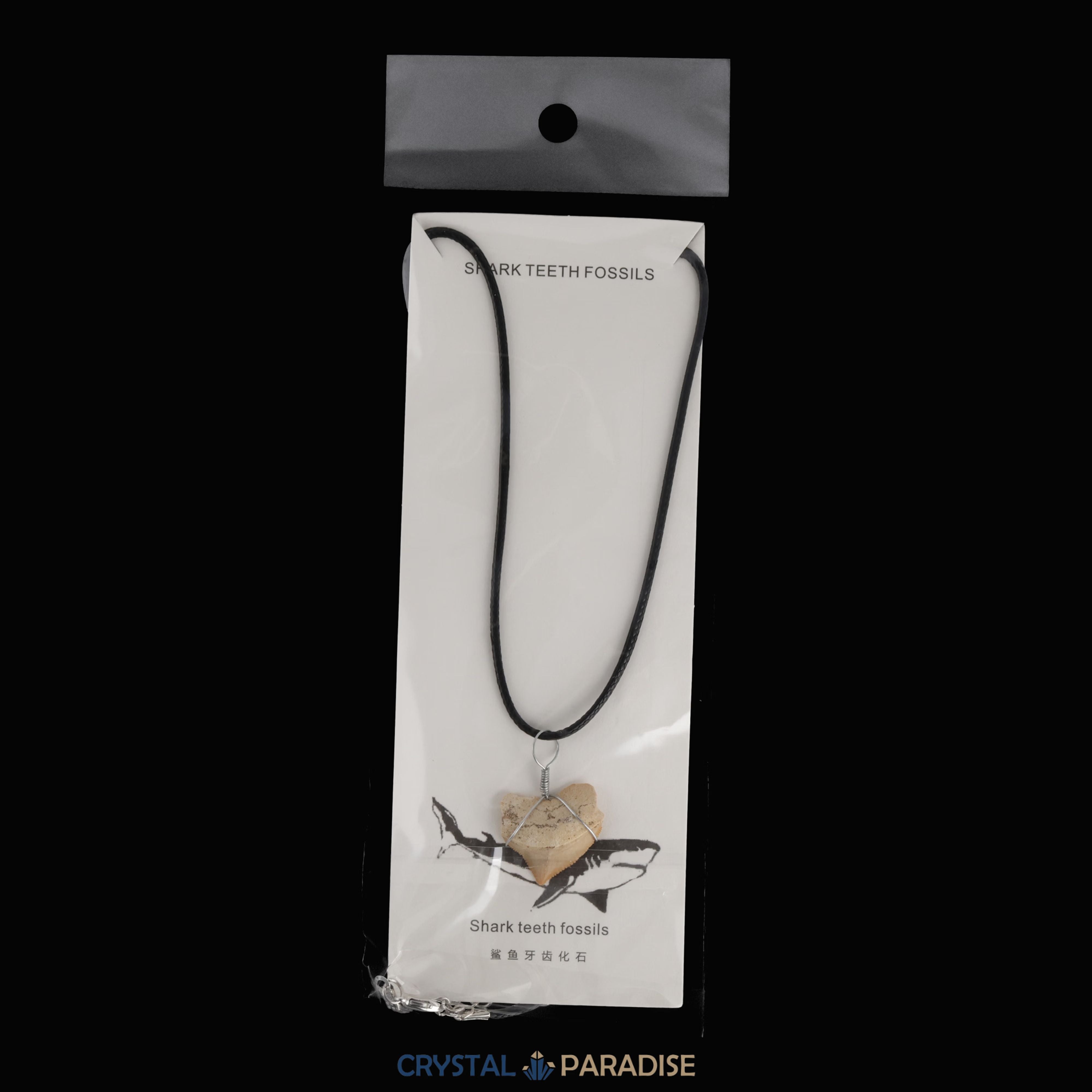 Haifischzahn Halskette (Fossil) – Ansicht 5