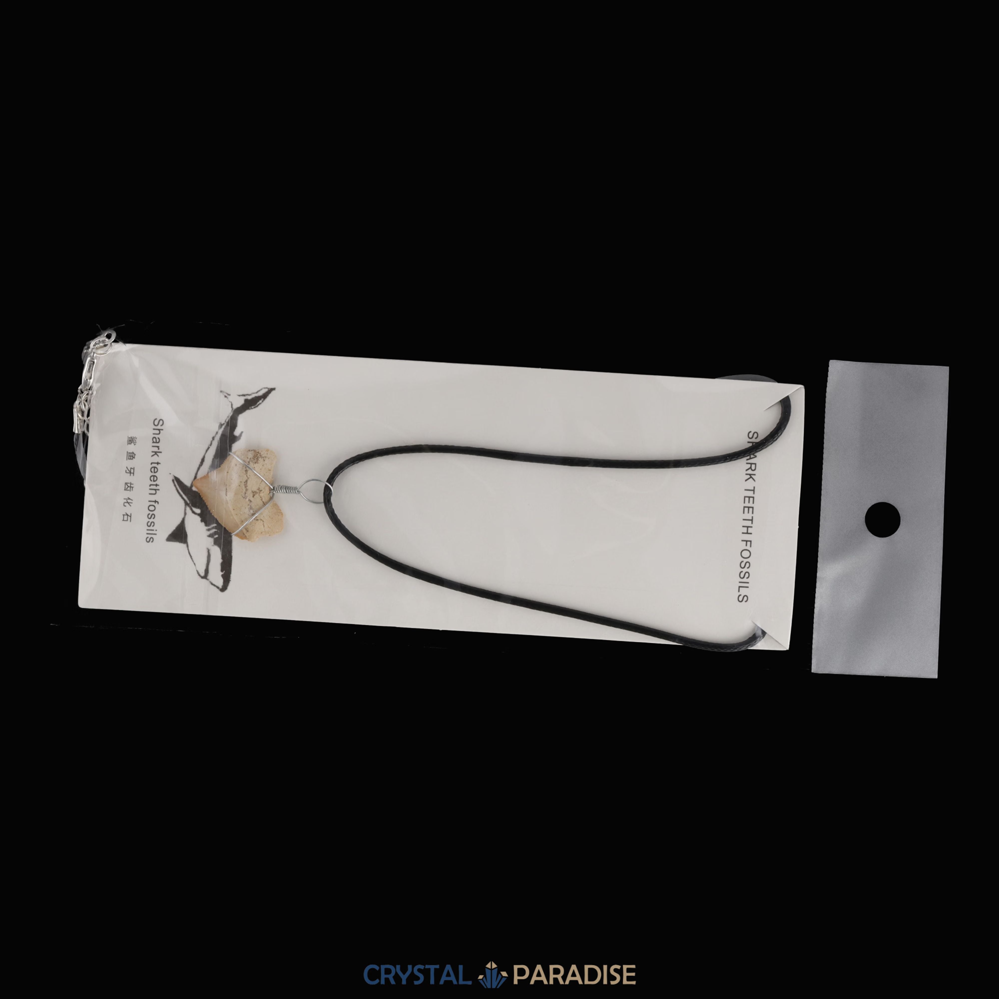 Haifischzahn Halskette (Fossil) – Ansicht 7