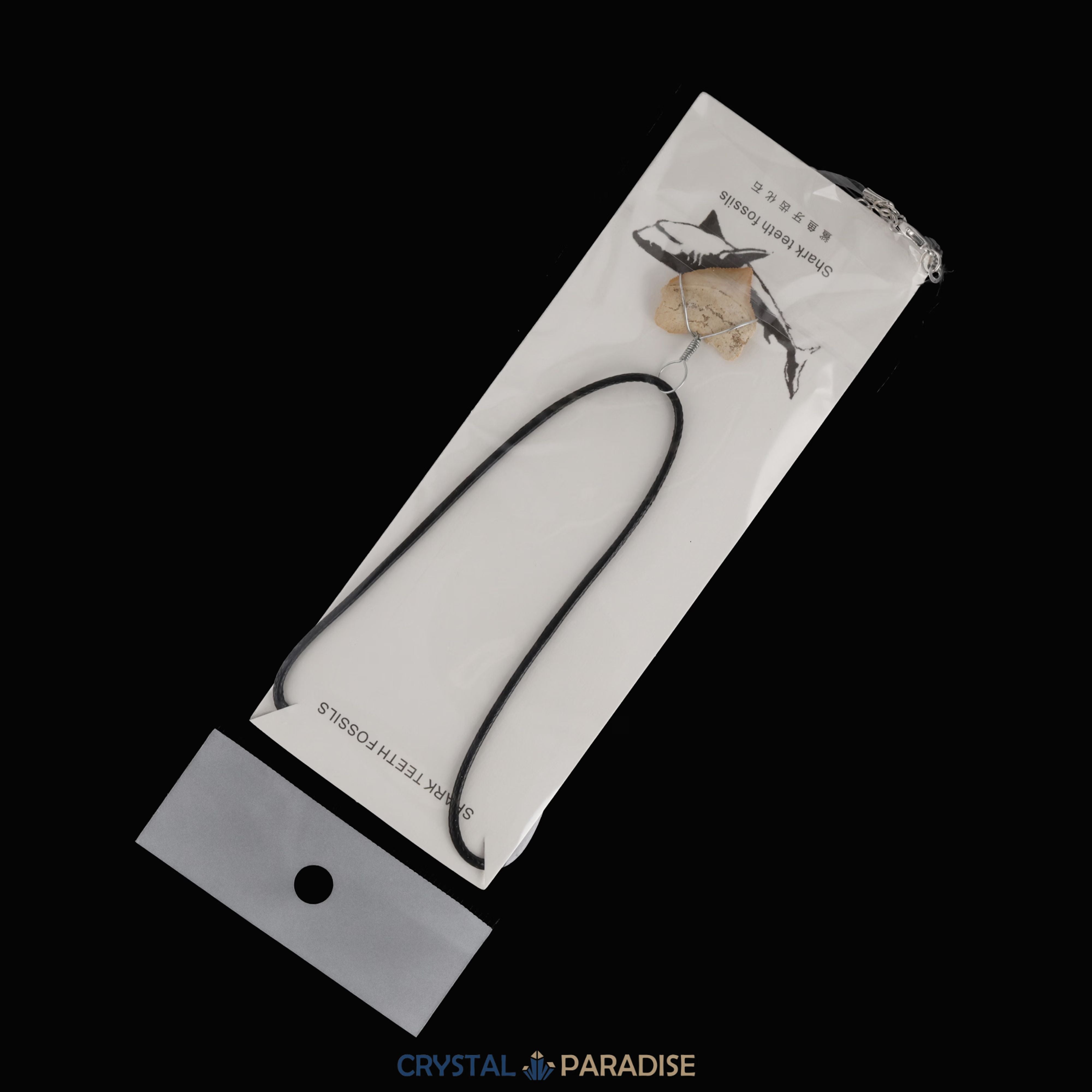 Haifischzahn Halskette (Fossil) – Ansicht 9