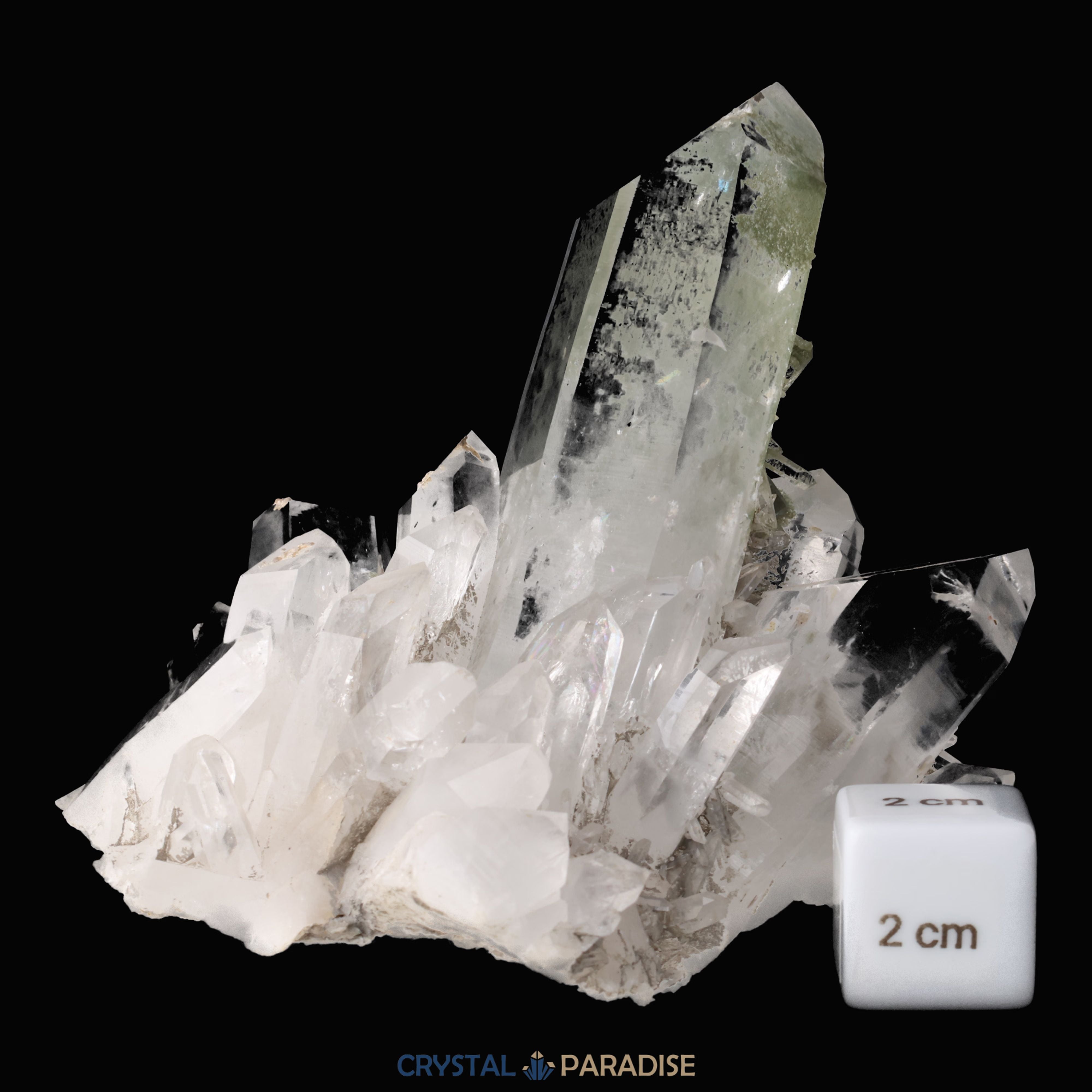 Himalaya Quarz mit Chlorit-Phantom aus Pakistan (387g) – Ansicht 4