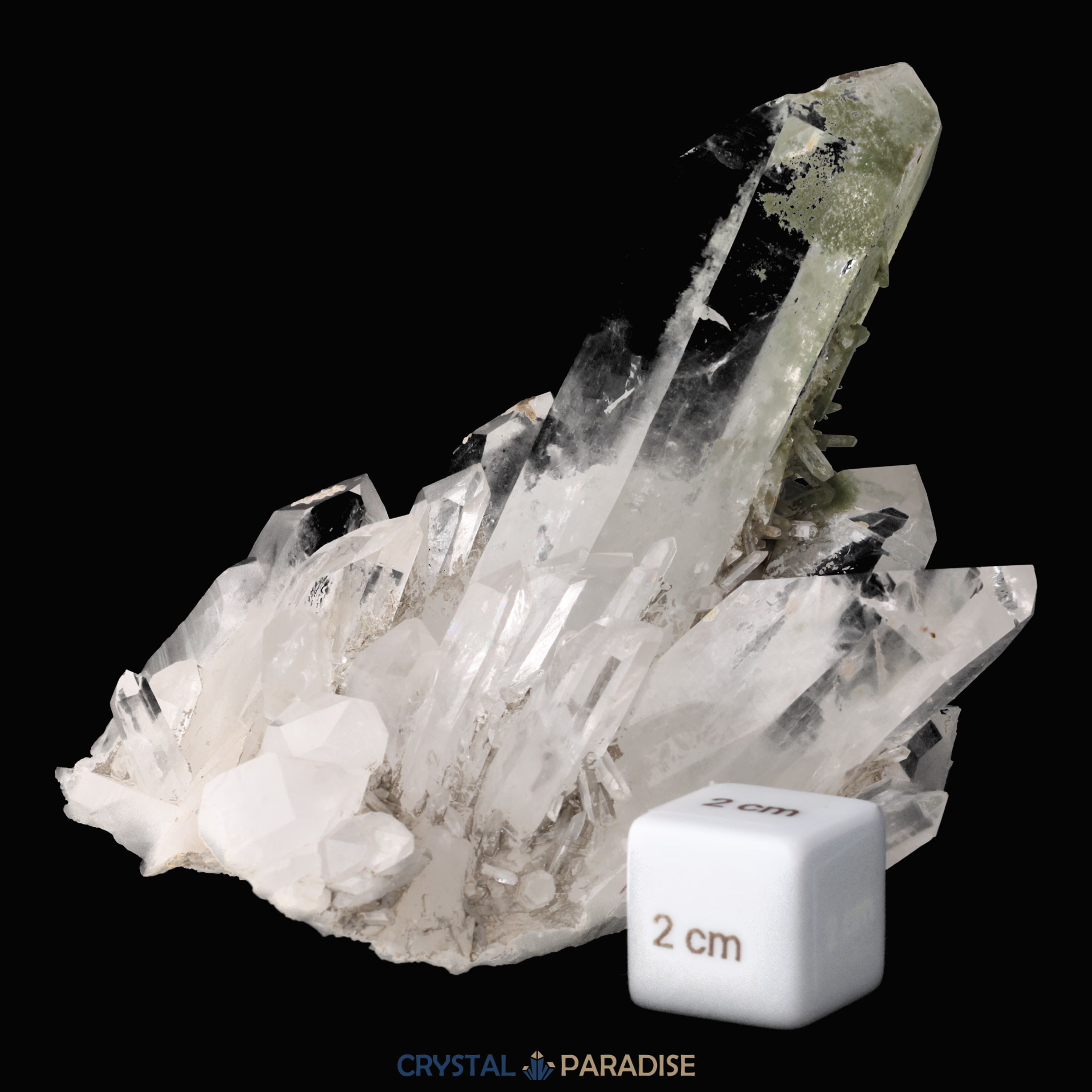 Himalaya Quarz mit Chlorit-Phantom aus Pakistan (387g) – Ansicht 5