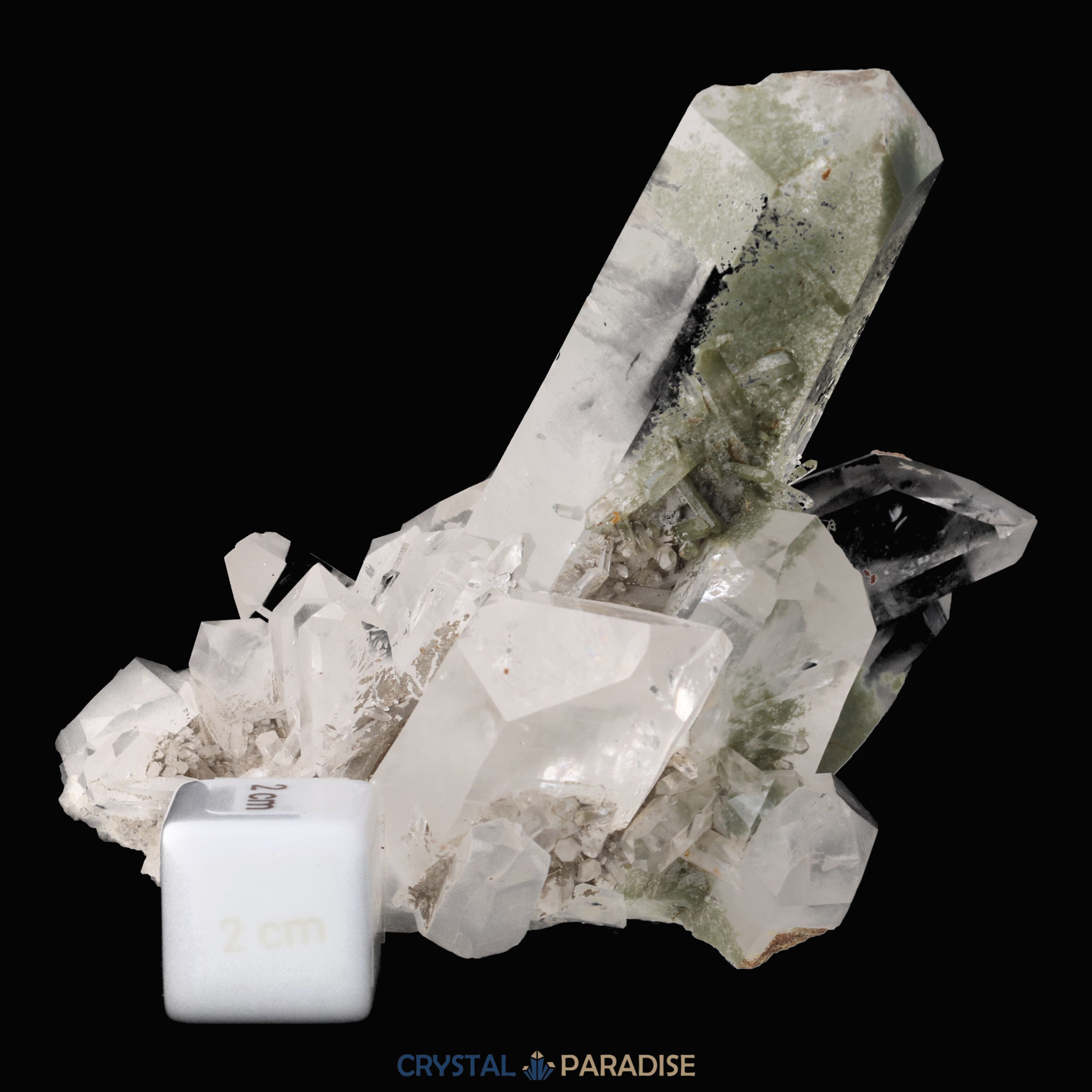 Himalaya Quarz mit Chlorit-Phantom aus Pakistan (387g) – Ansicht 6