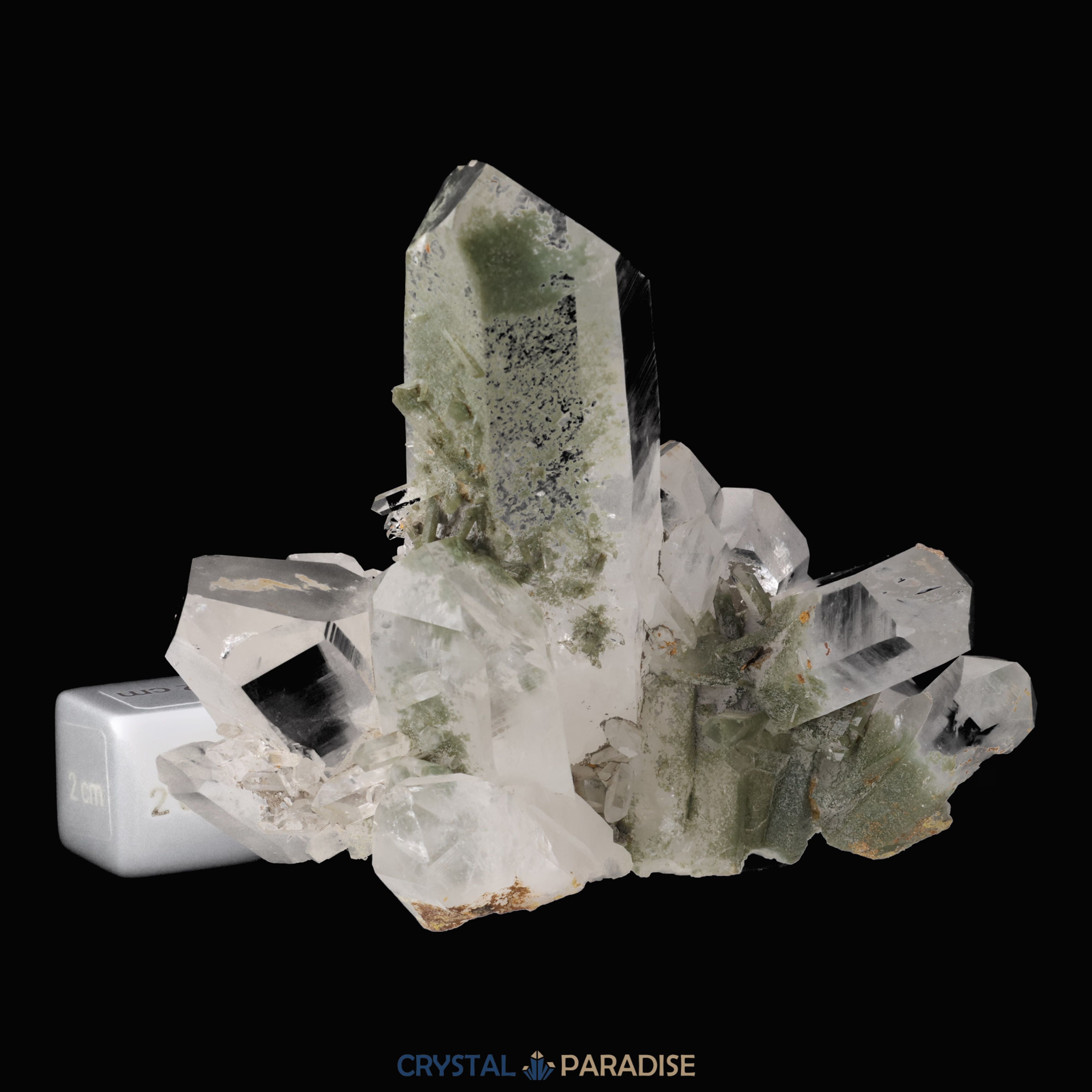Himalaya Quarz mit Chlorit-Phantom aus Pakistan (387g) – Ansicht 7
