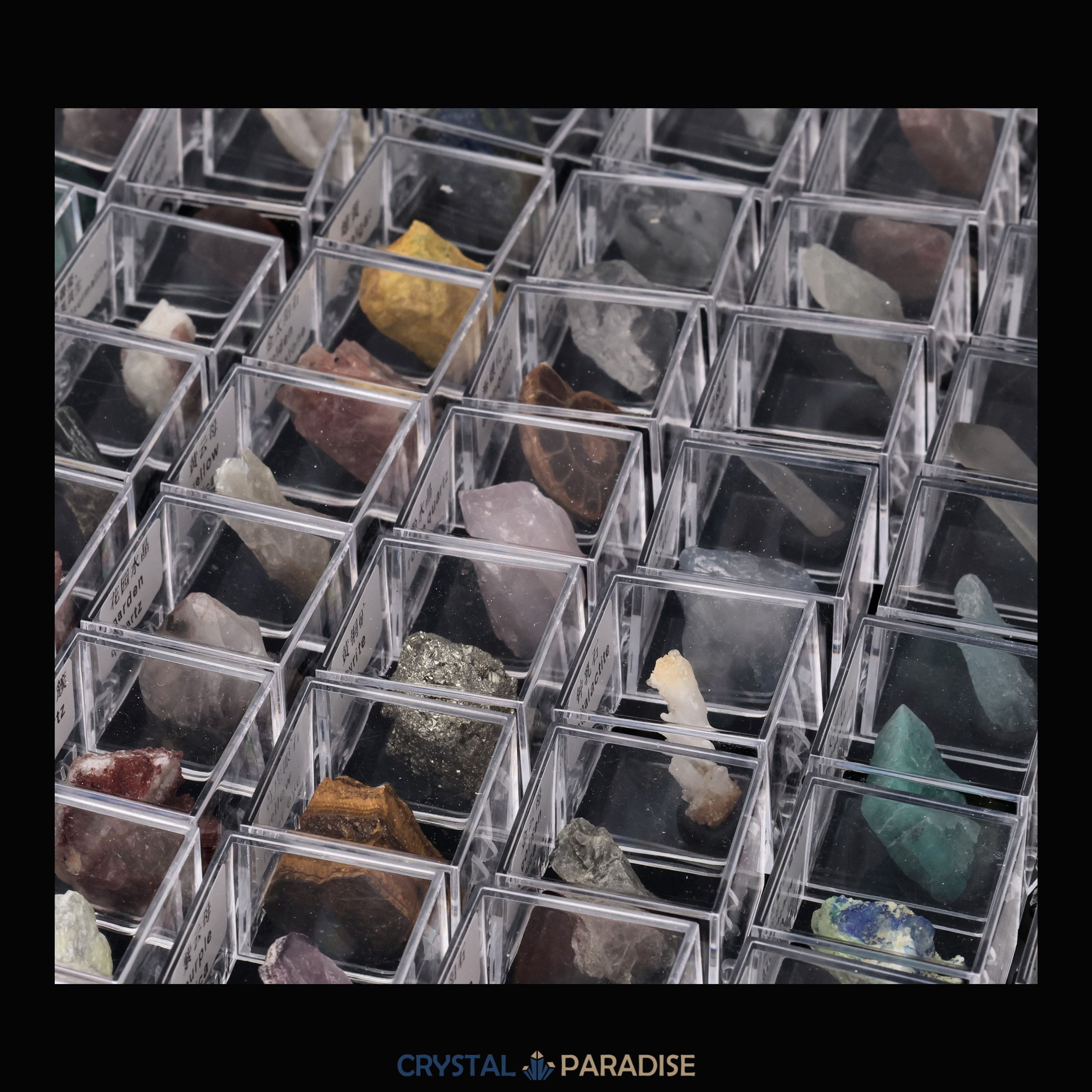 Mystery Specimen Box (3,5 cm) – Ansicht 10
