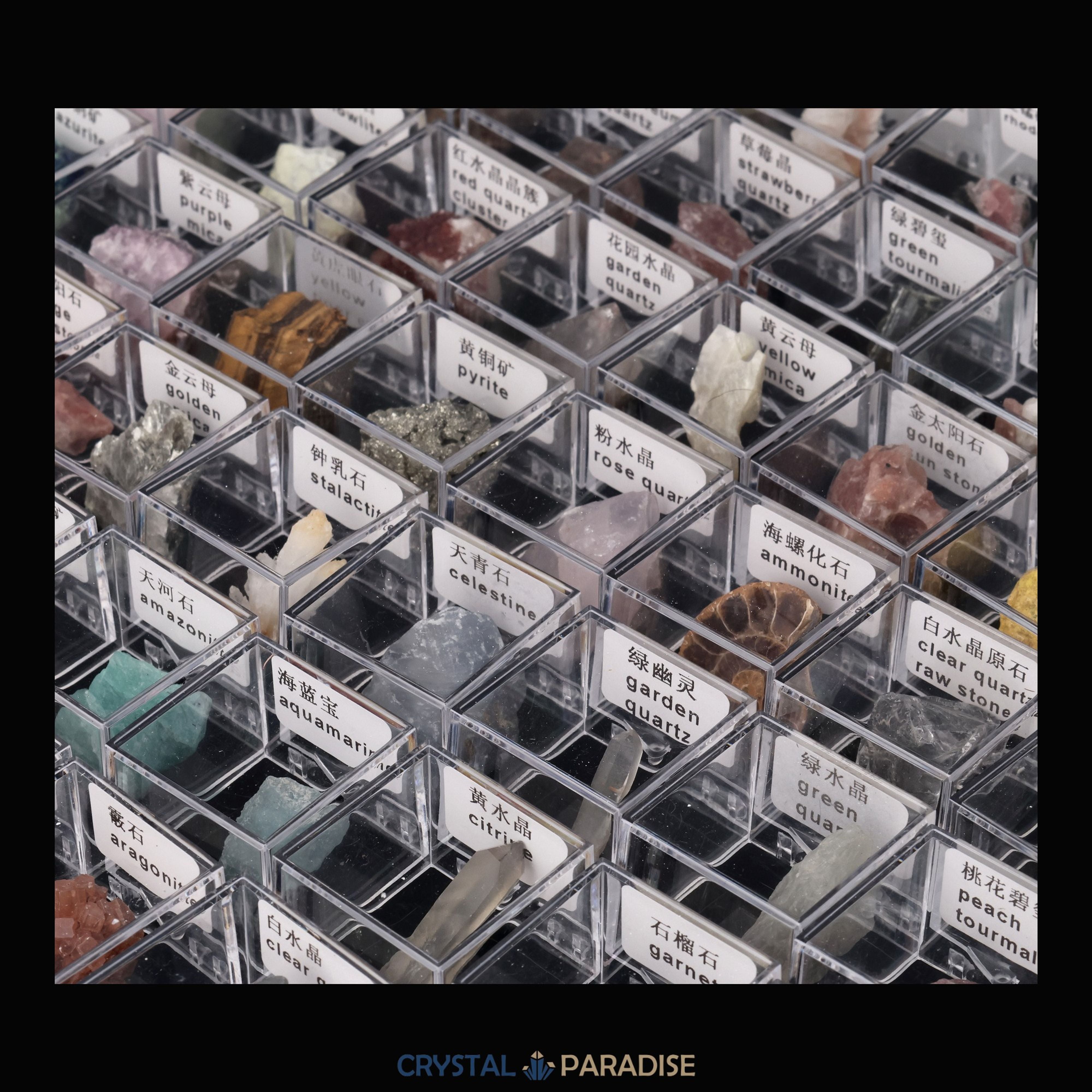 Mystery Specimen Box (3,5 cm) – Ansicht 6