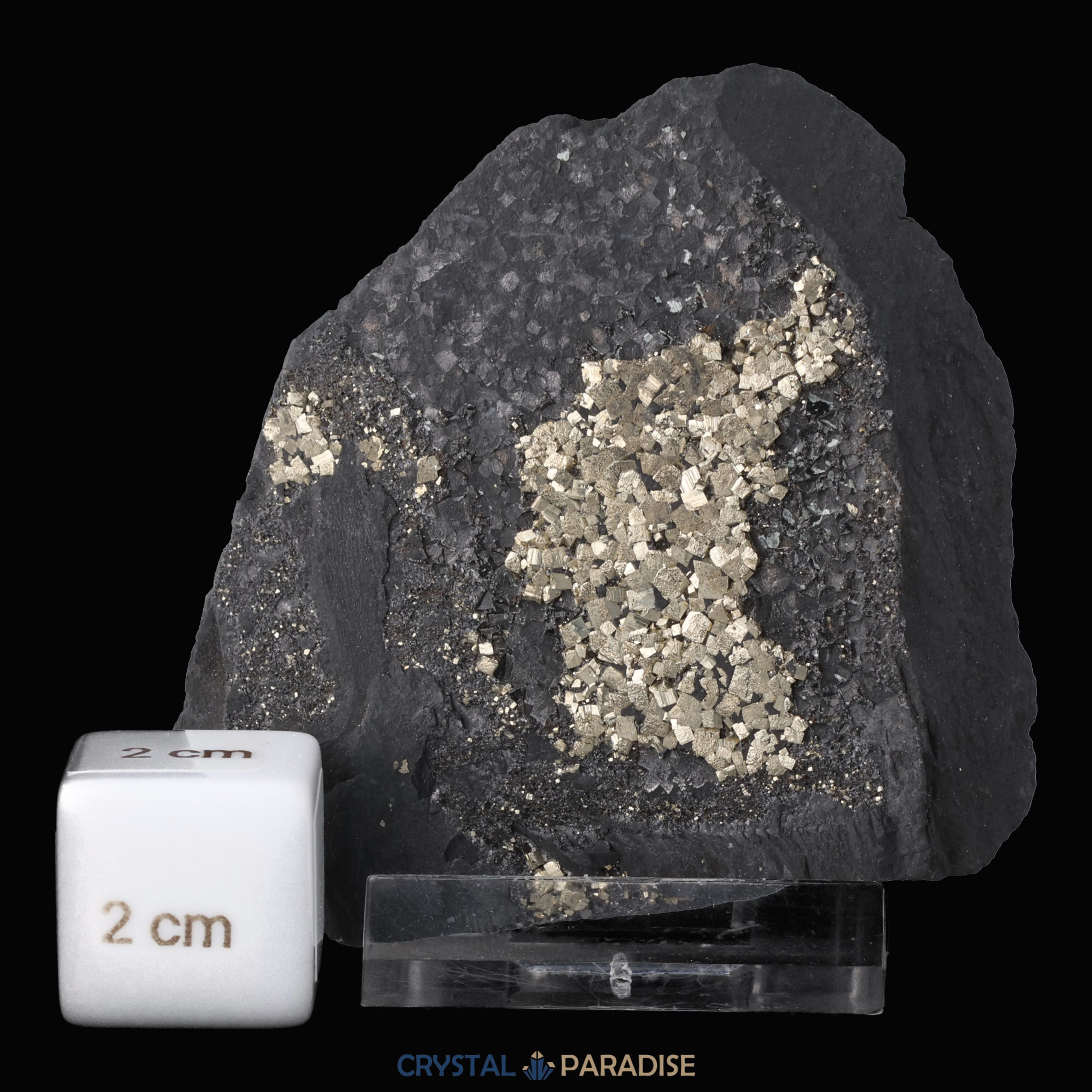 Pyrit auf Shungit aus Brasilien (147g) – Ansicht 3
