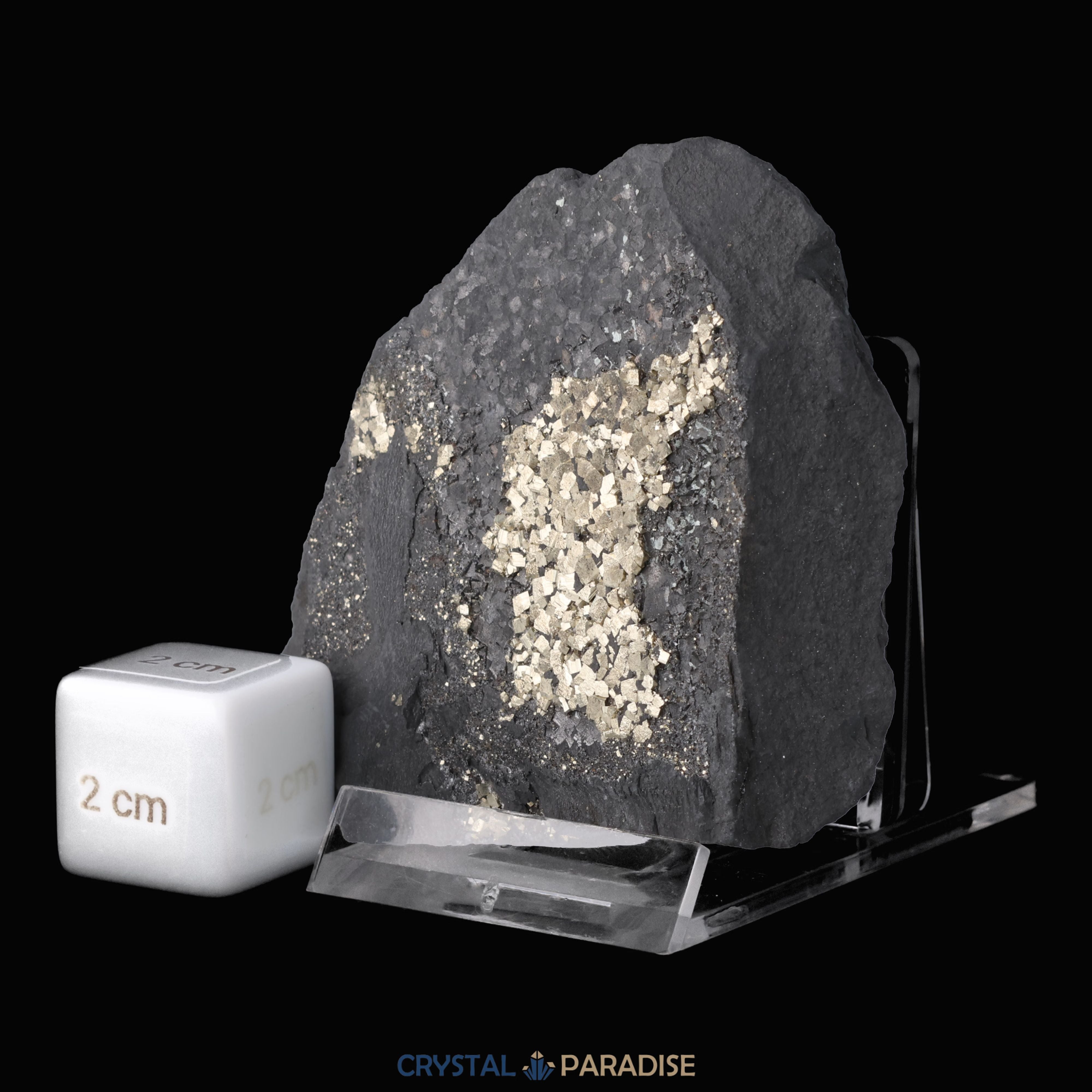 Pyrit auf Shungit aus Brasilien (147g) – Ansicht 4