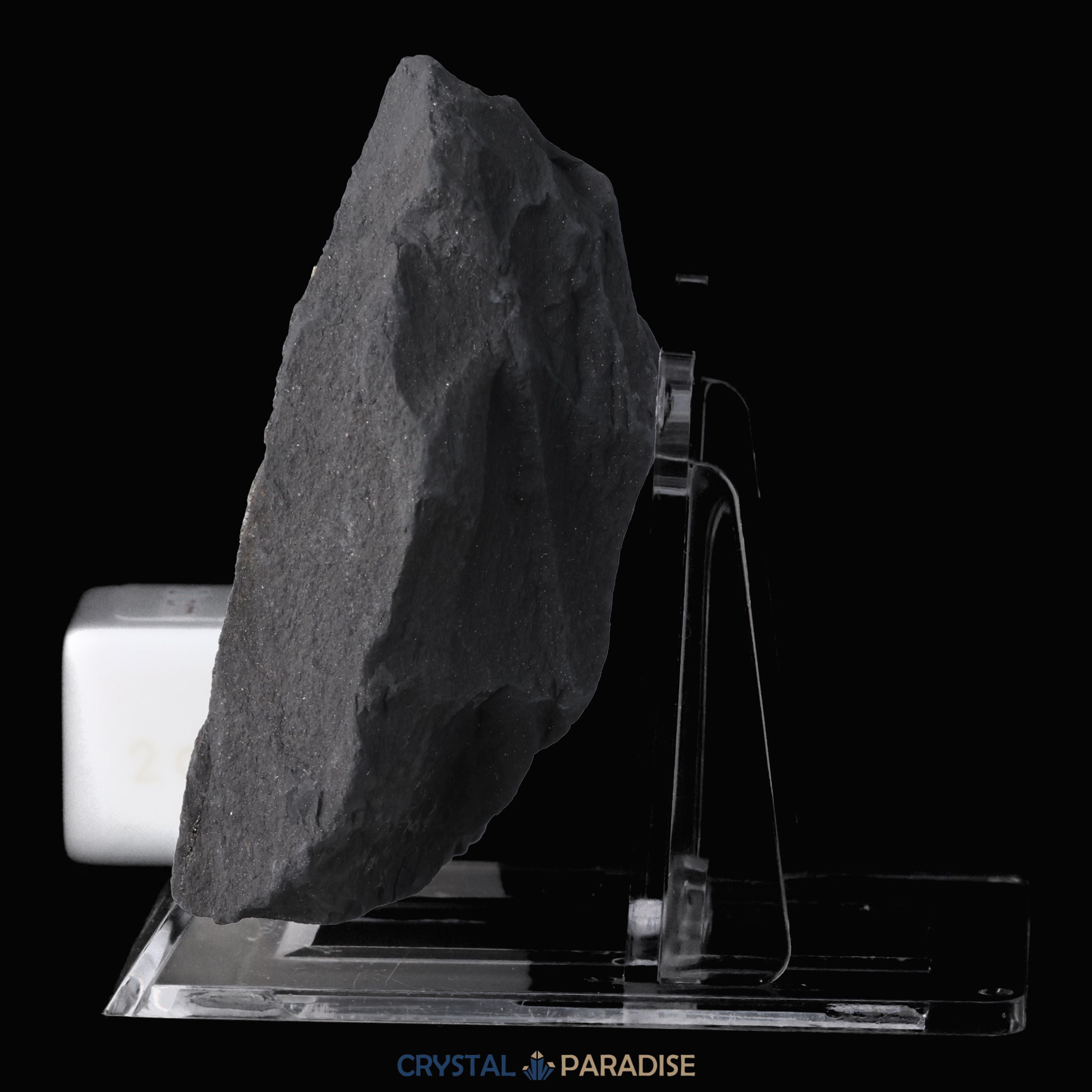 Pyrit auf Shungit aus Brasilien (147g) – Ansicht 5