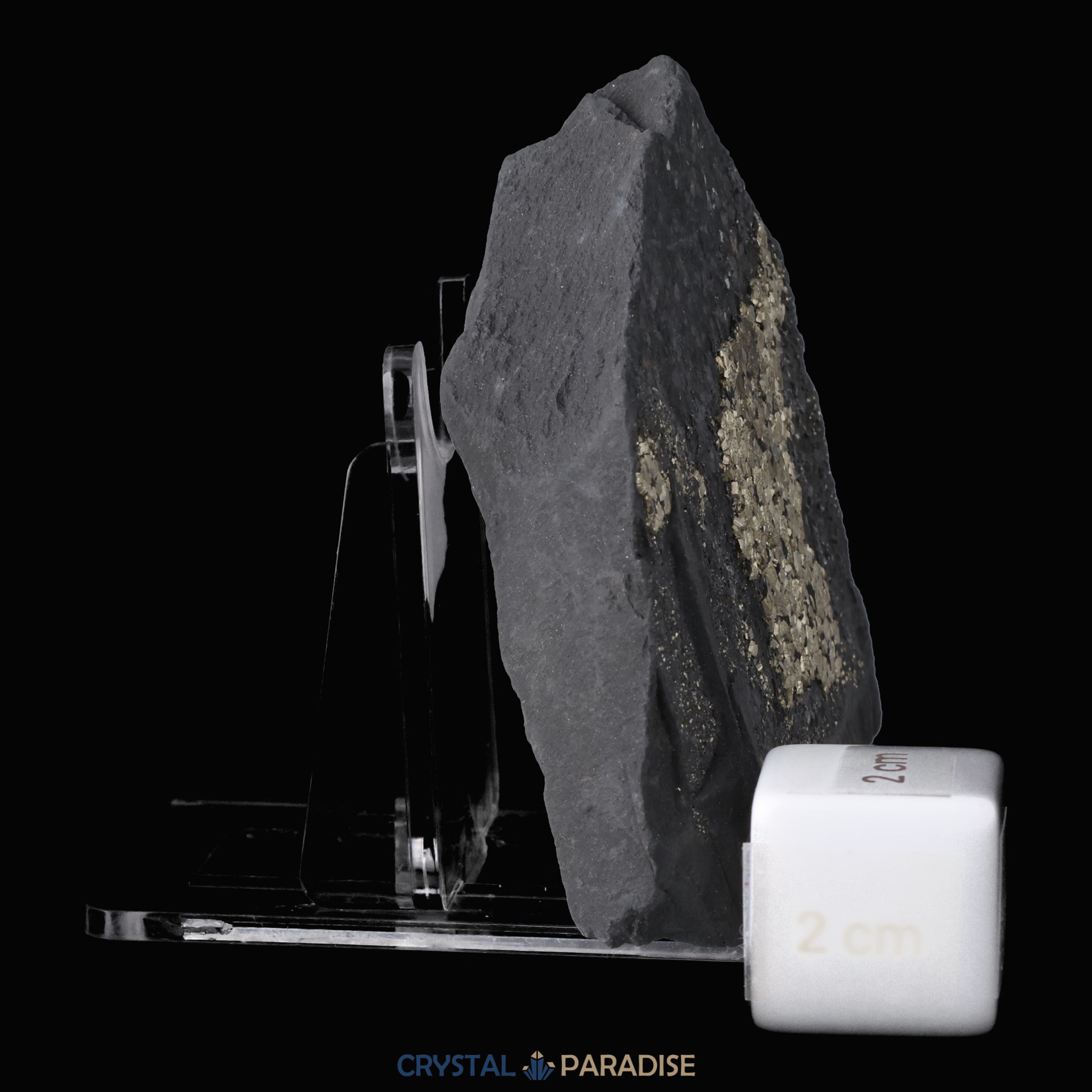 Pyrit auf Shungit aus Brasilien (147g) – Ansicht 8