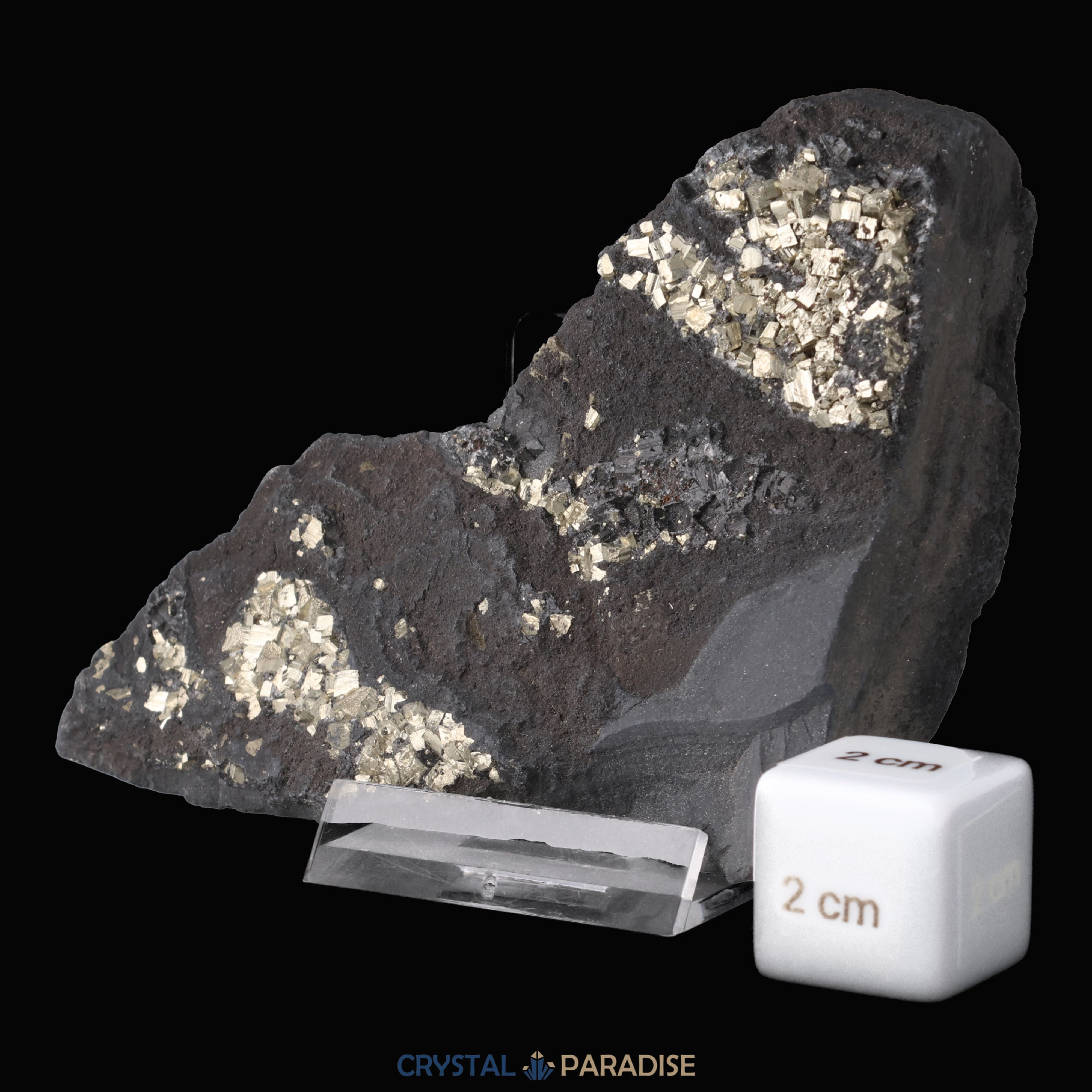 Pyrit auf Shungit aus Brasilien (188g) – Ansicht 4