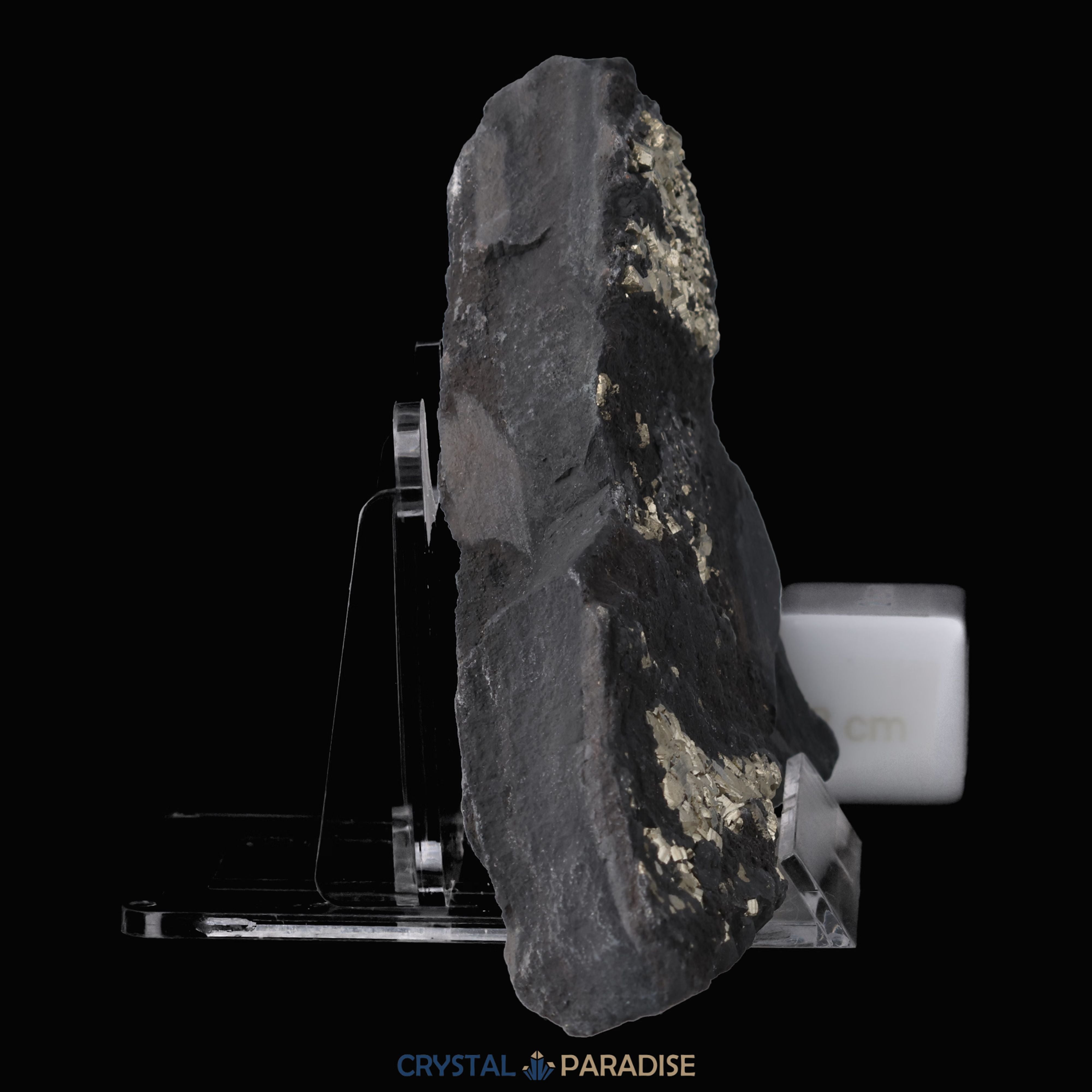 Pyrit auf Shungit aus Brasilien (188g) – Ansicht 8