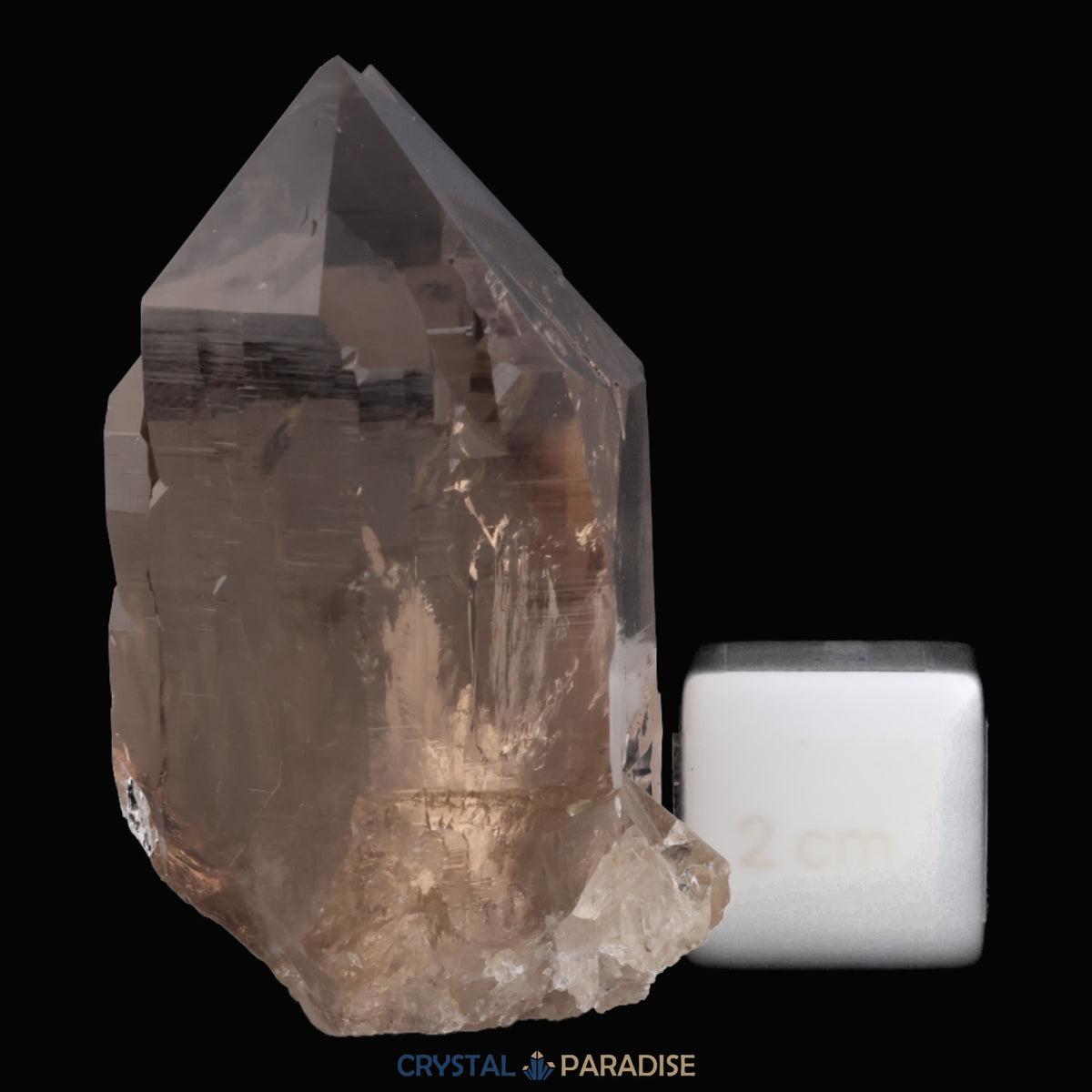 Rauchquarz aus Oberaar, Schweiz (122g) – Ansicht 7